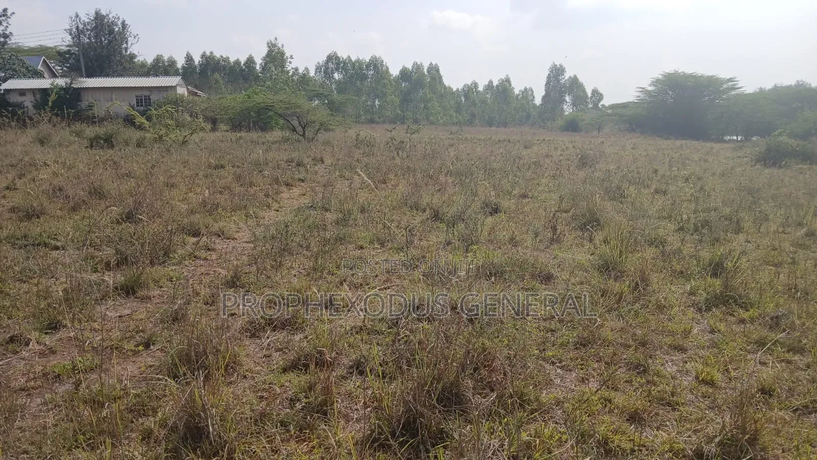 Land for Sale – Ongata Rongai, Masaai Lodge
Plot Size: 1/4 Acre in Maasai Lodge