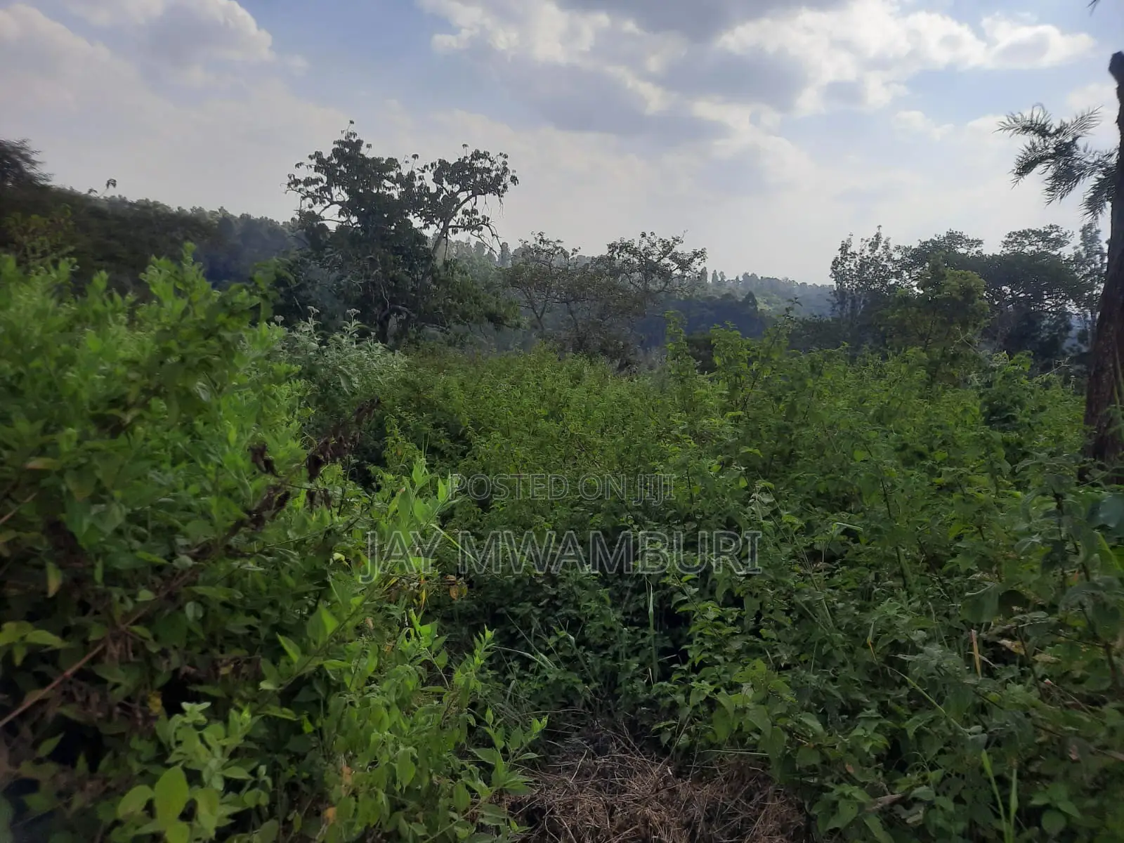 100 Acre Land Kagio Rd - Thika in Makongeni / Thika