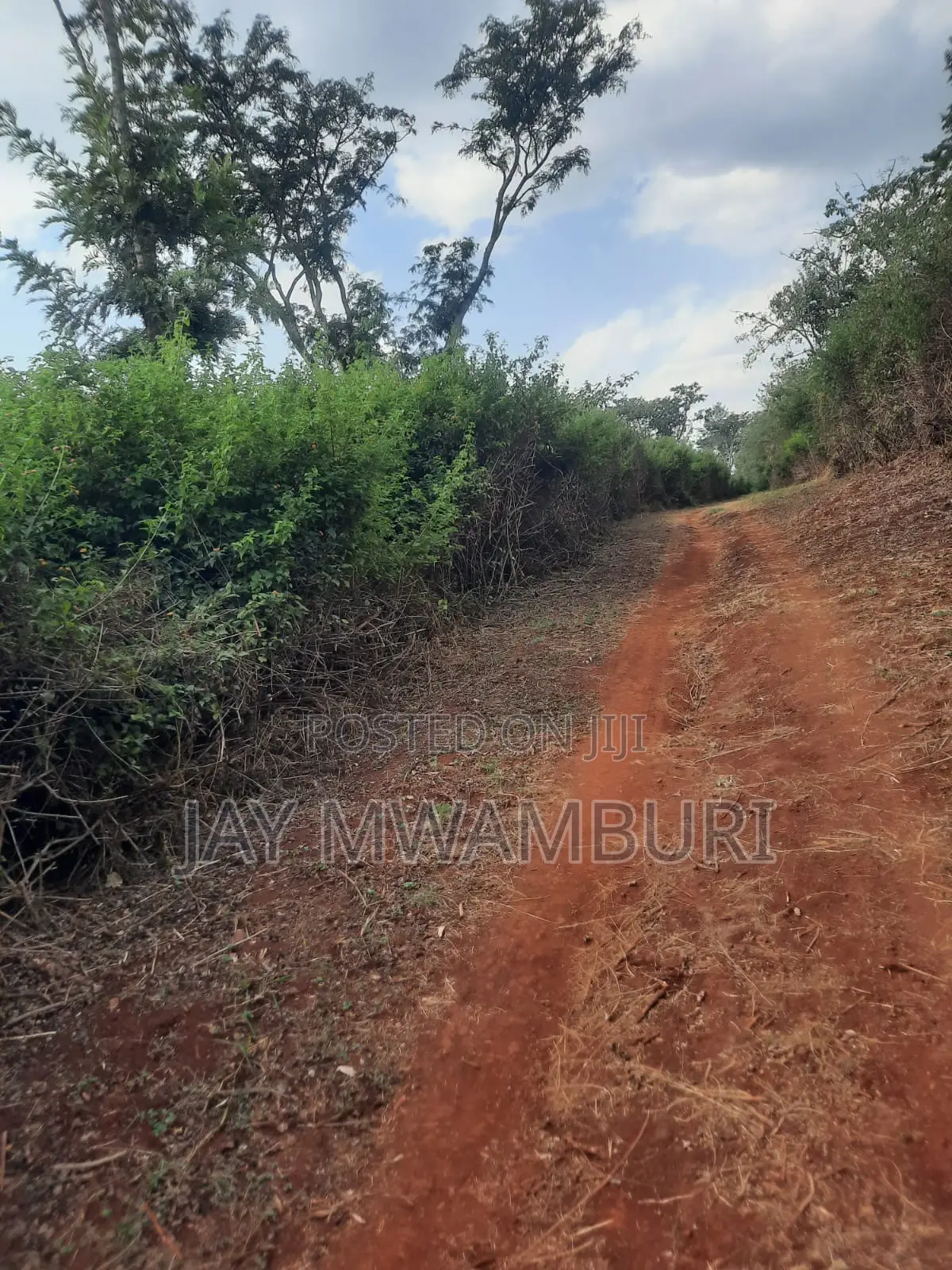 100 Acre Land Kagio Rd - Thika in Makongeni / Thika