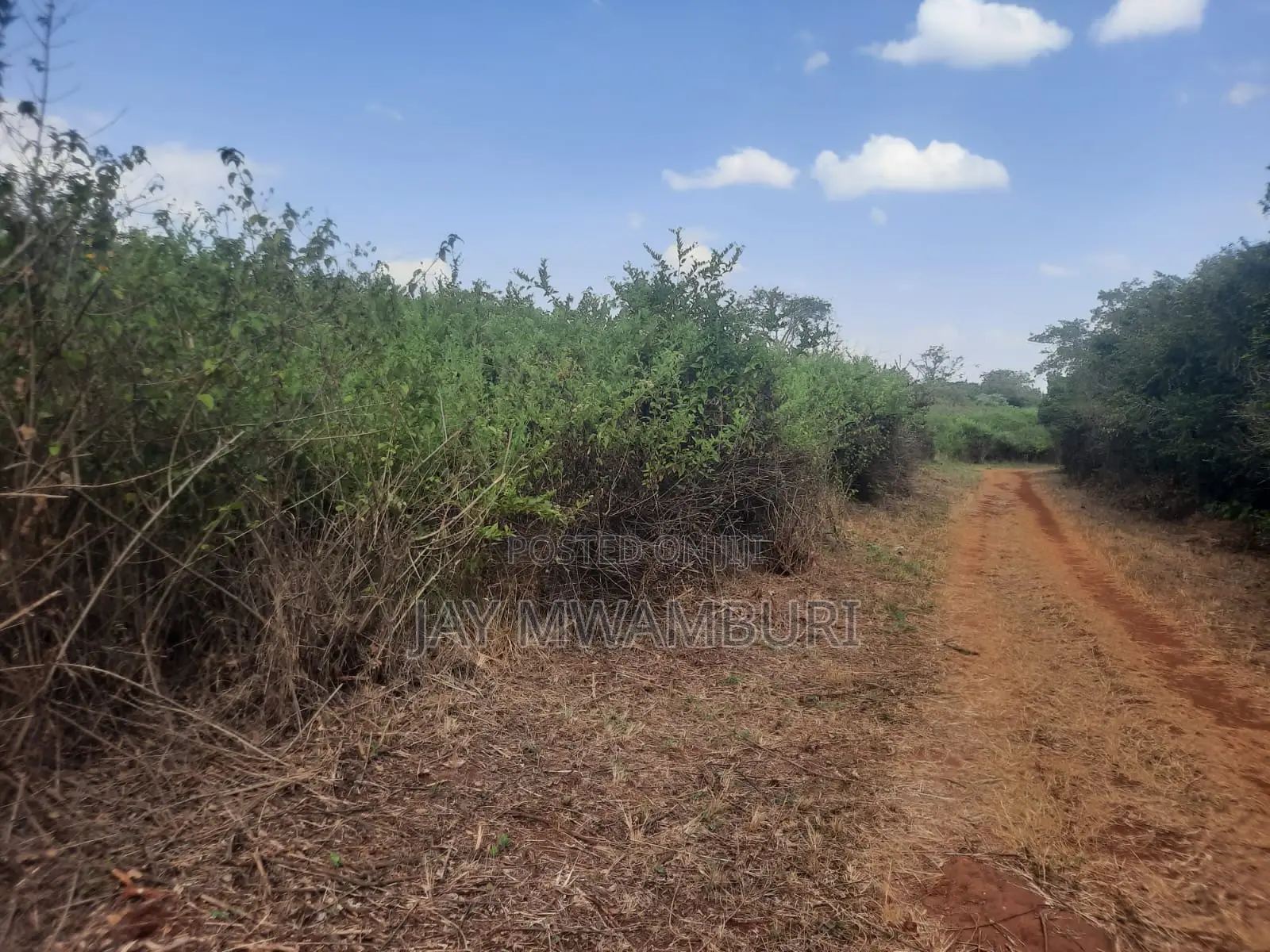 100 Acre Land Kagio Rd - Thika in Makongeni / Thika