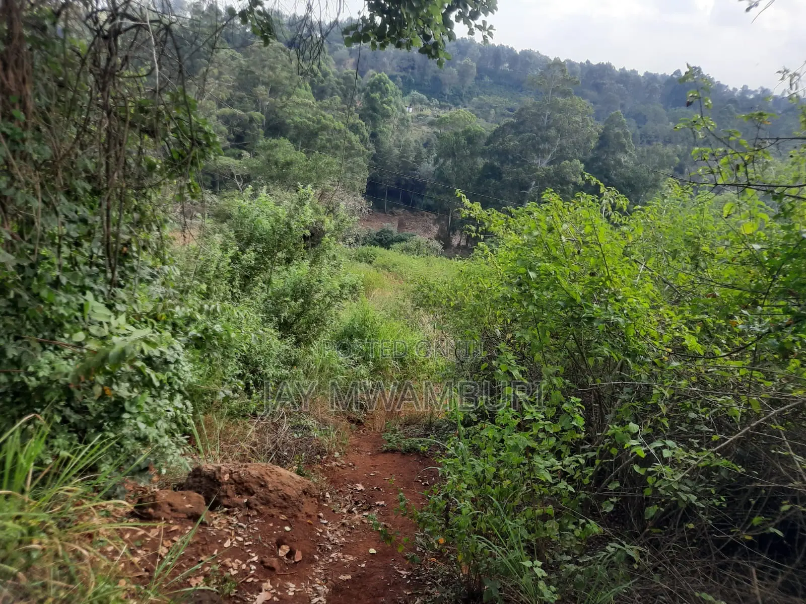 100 Acre Land Kagio Rd - Thika in Makongeni / Thika