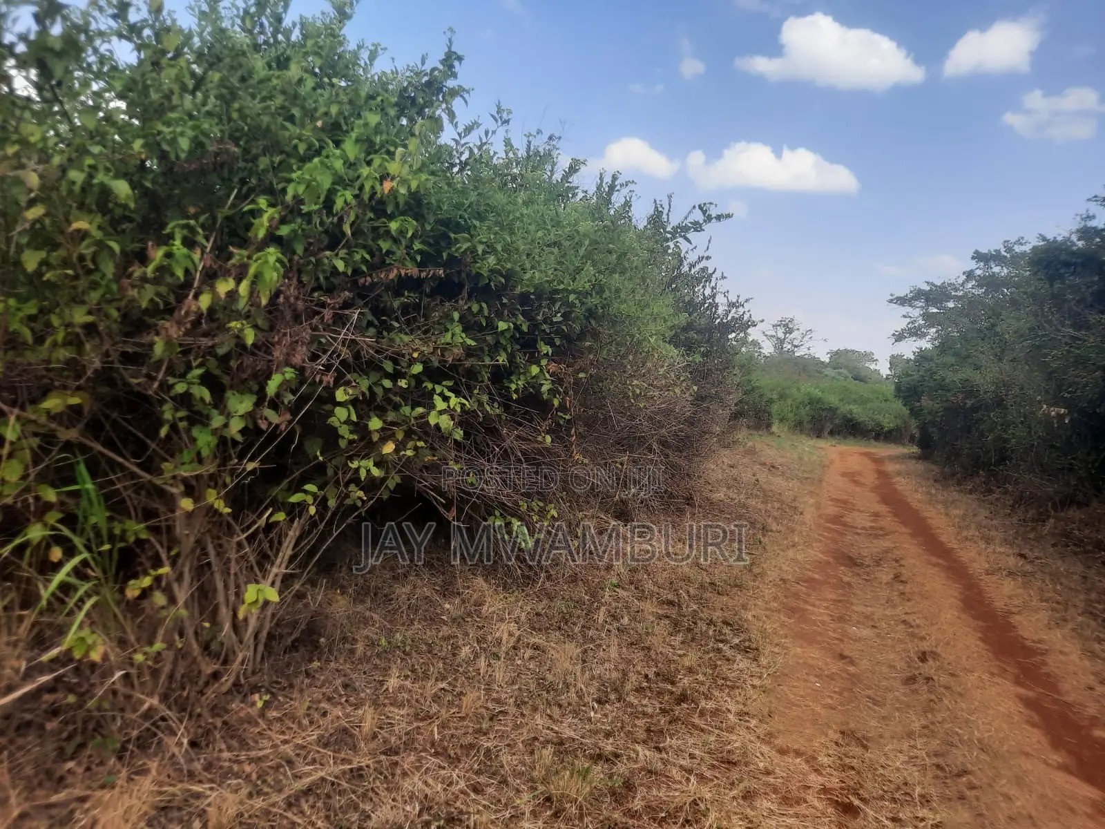100 Acre Land Kagio Rd - Thika in Makongeni / Thika