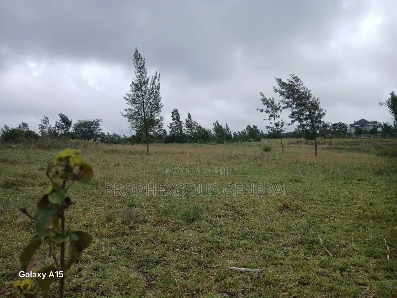50x100 Plots for Sale Ln Ngong Kimuka. in Kibiku