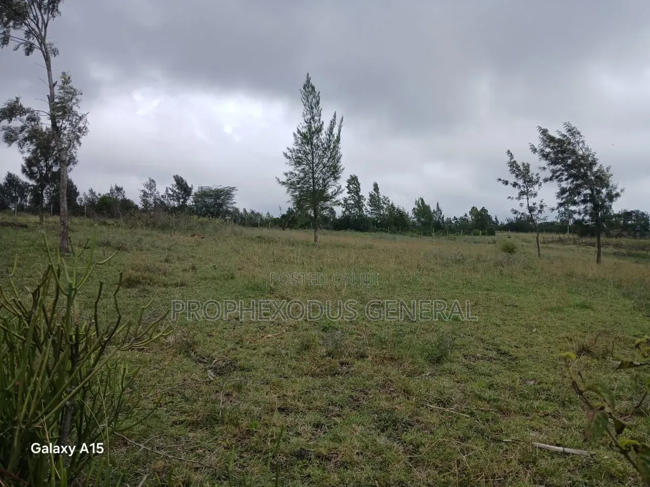 50x100 Plots for Sale Ln Ngong Kimuka. in Kibiku