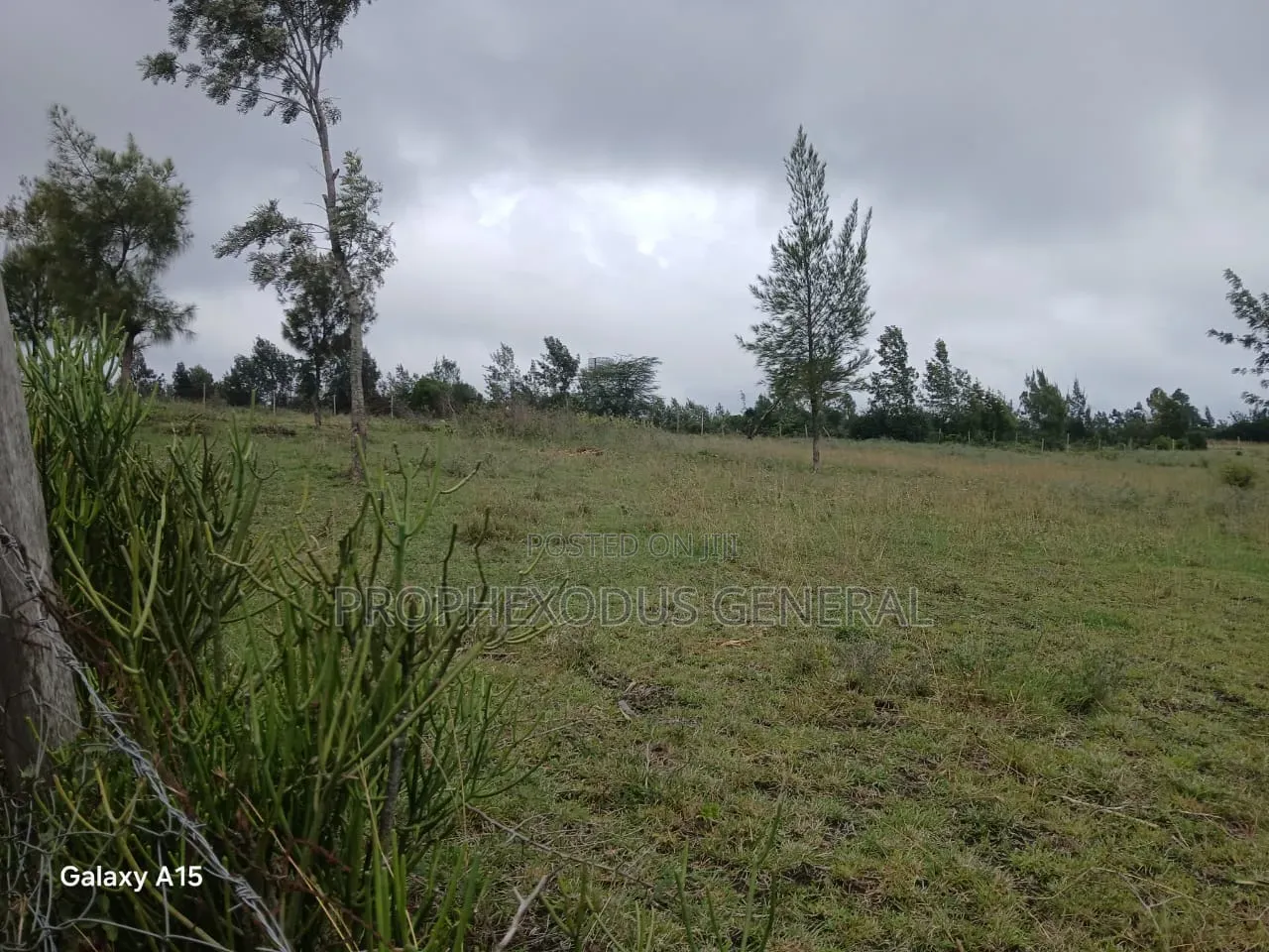 50x100 Plots for Sale Ln Ngong Kimuka. in Kibiku
