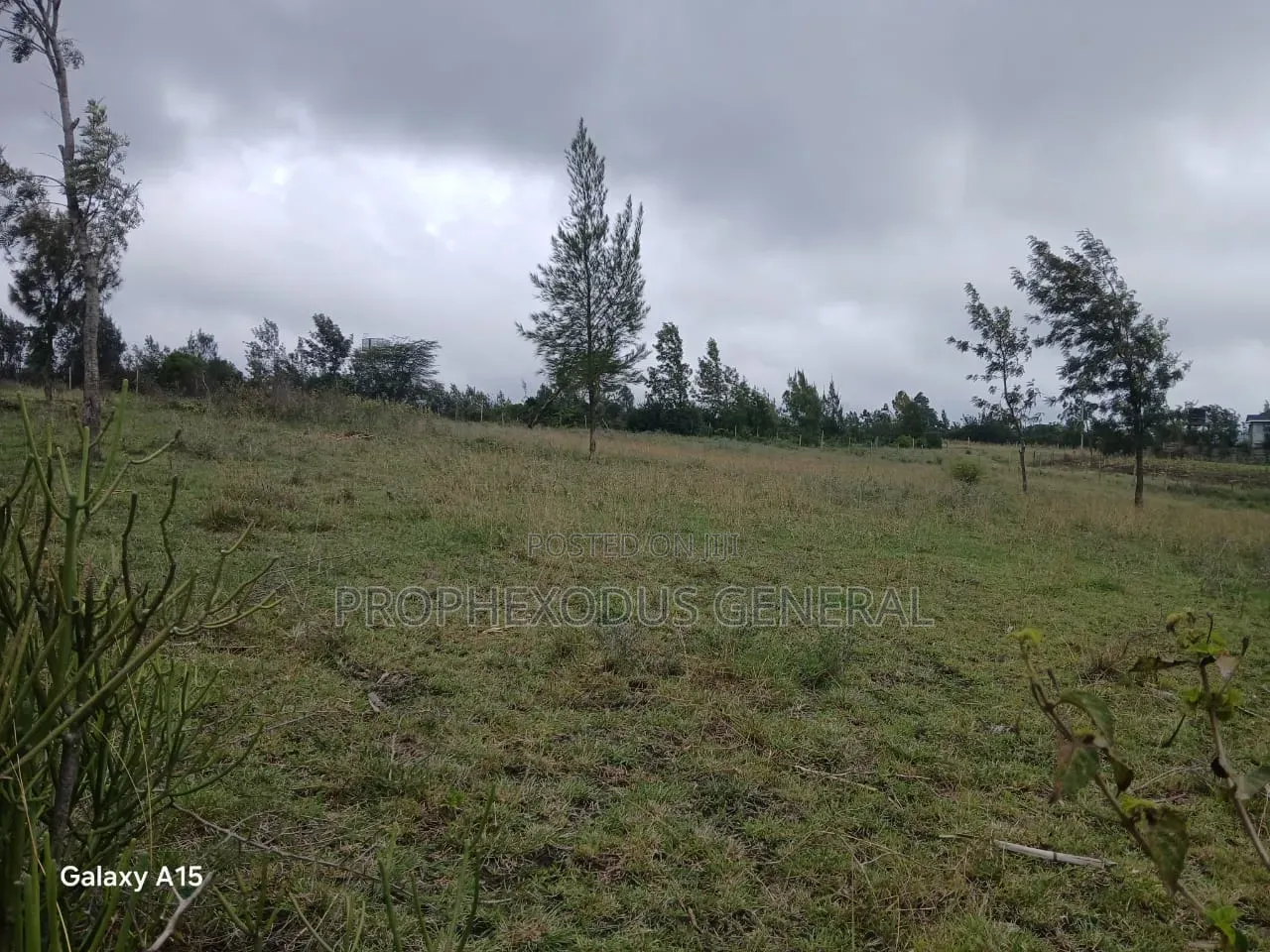 50x100 Plots for Sale Ln Ngong Kimuka. in Kibiku