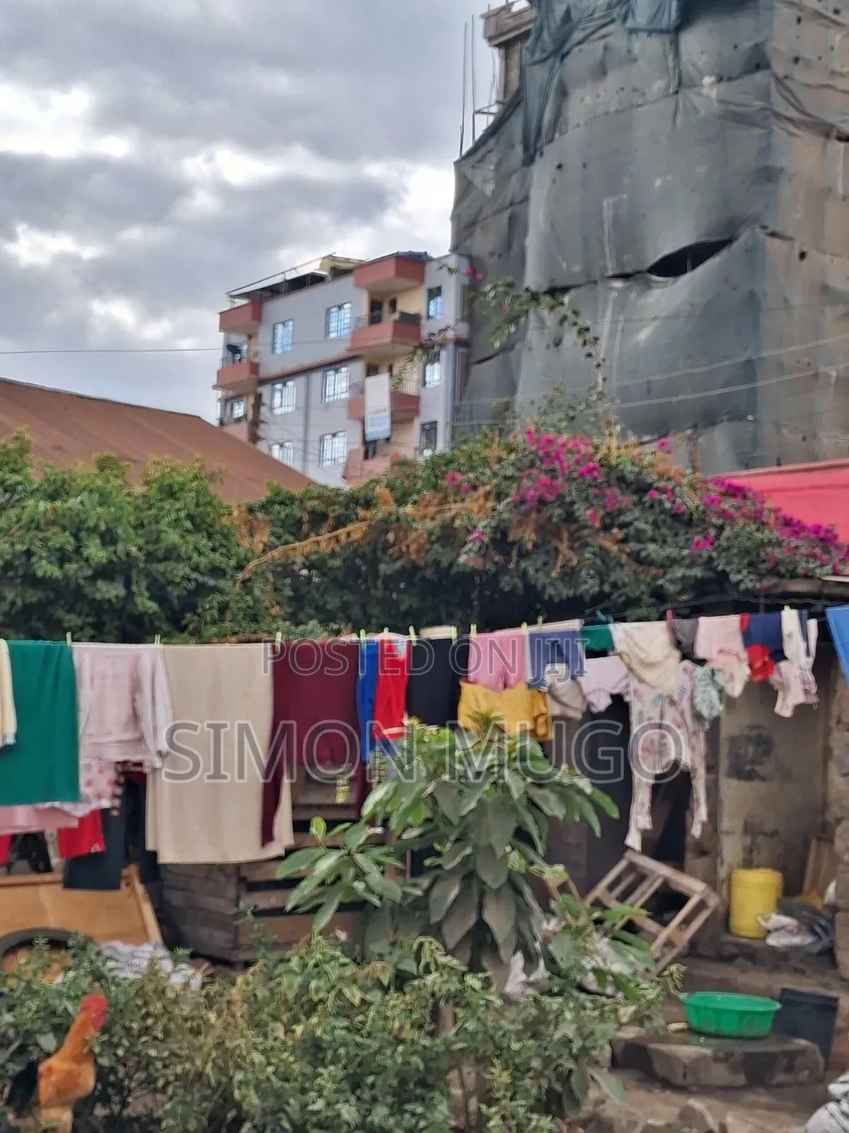 Ruiru Watalaam Prime Commercial 50x100 Plot Ready Title in Old Junction