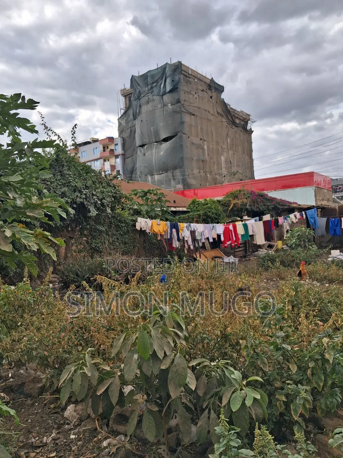 Ruiru Watalaam Prime Commercial 50x100 Plot Ready Title in Old Junction