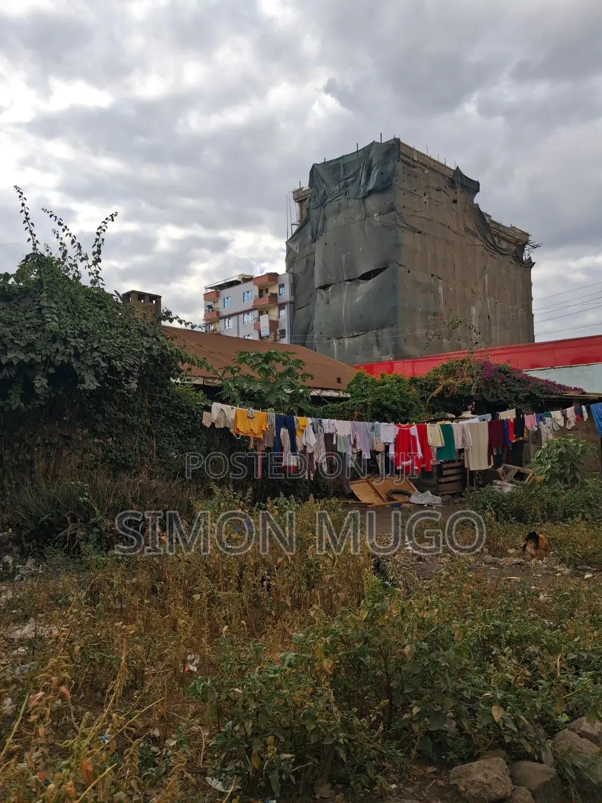 Ruiru Watalaam Prime Commercial 50x100 Plot Ready Title in Old Junction