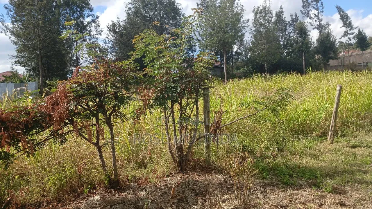 100 by 100 at  Ngong in Matasia