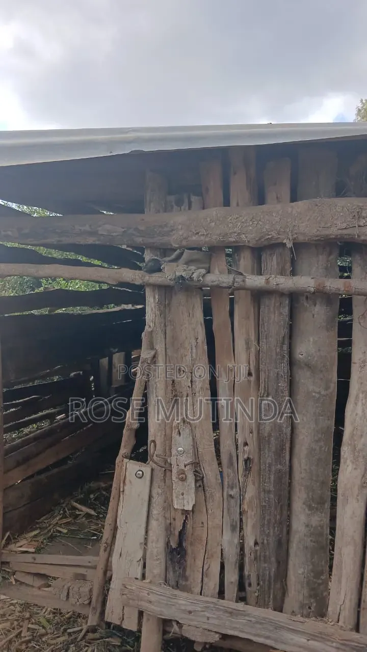 100 by 100 at  Ngong in Matasia