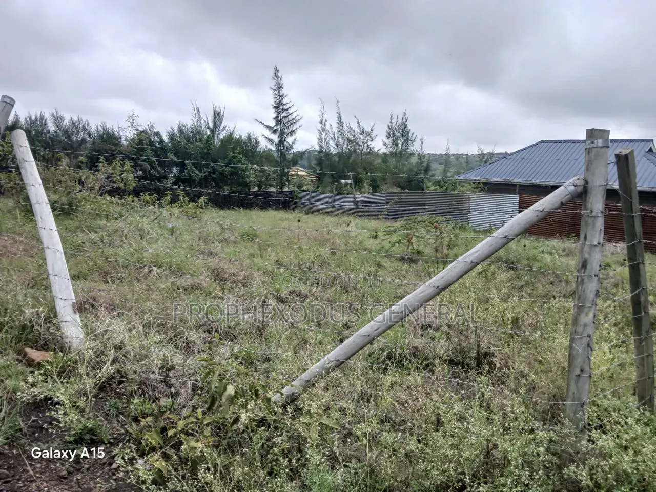 1/8 Residential Plots for Sale in NGONG Kimuka in Kibiku