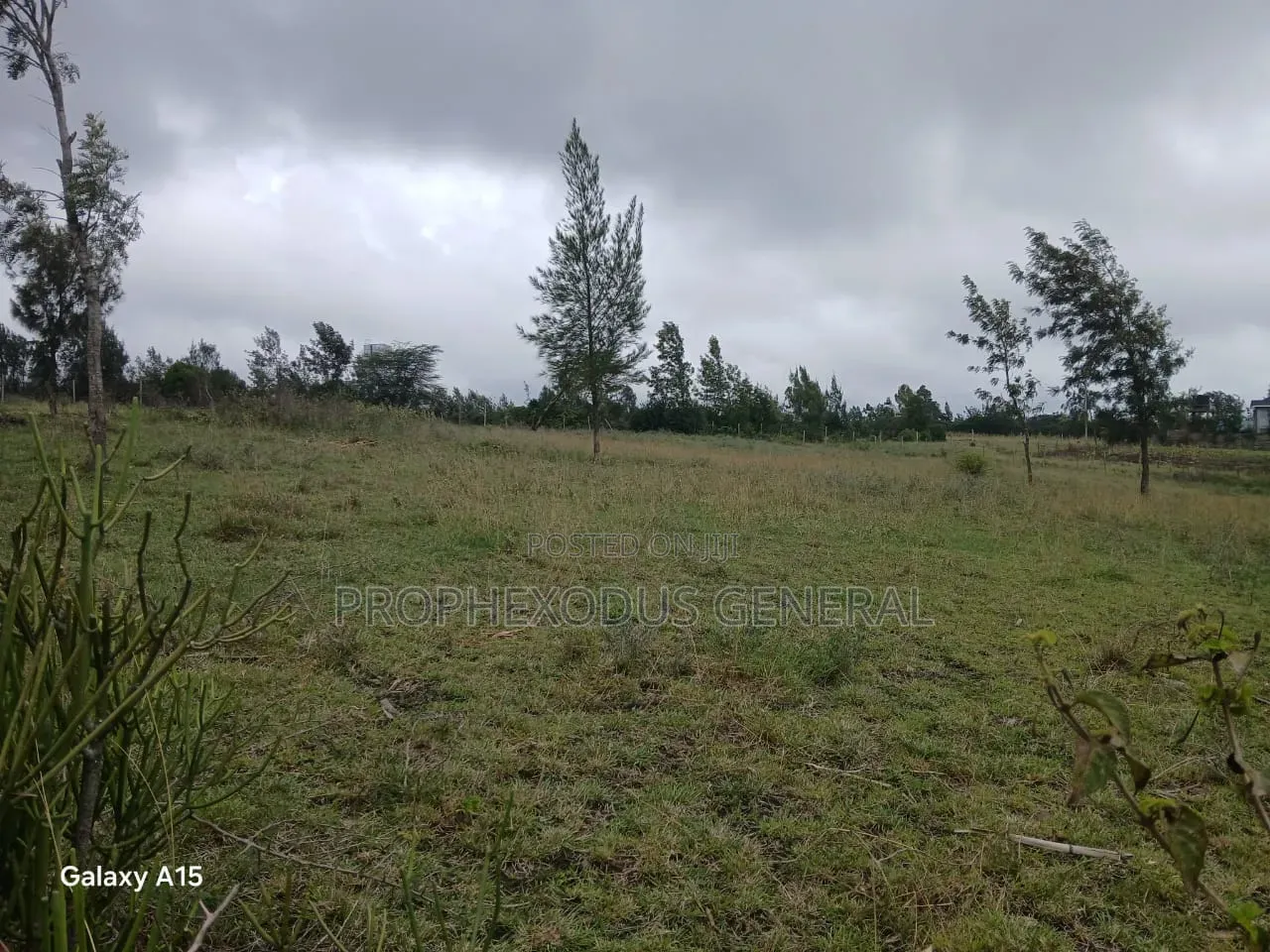 1/8 Residential Plots for Sale in NGONG Kimuka in Kibiku