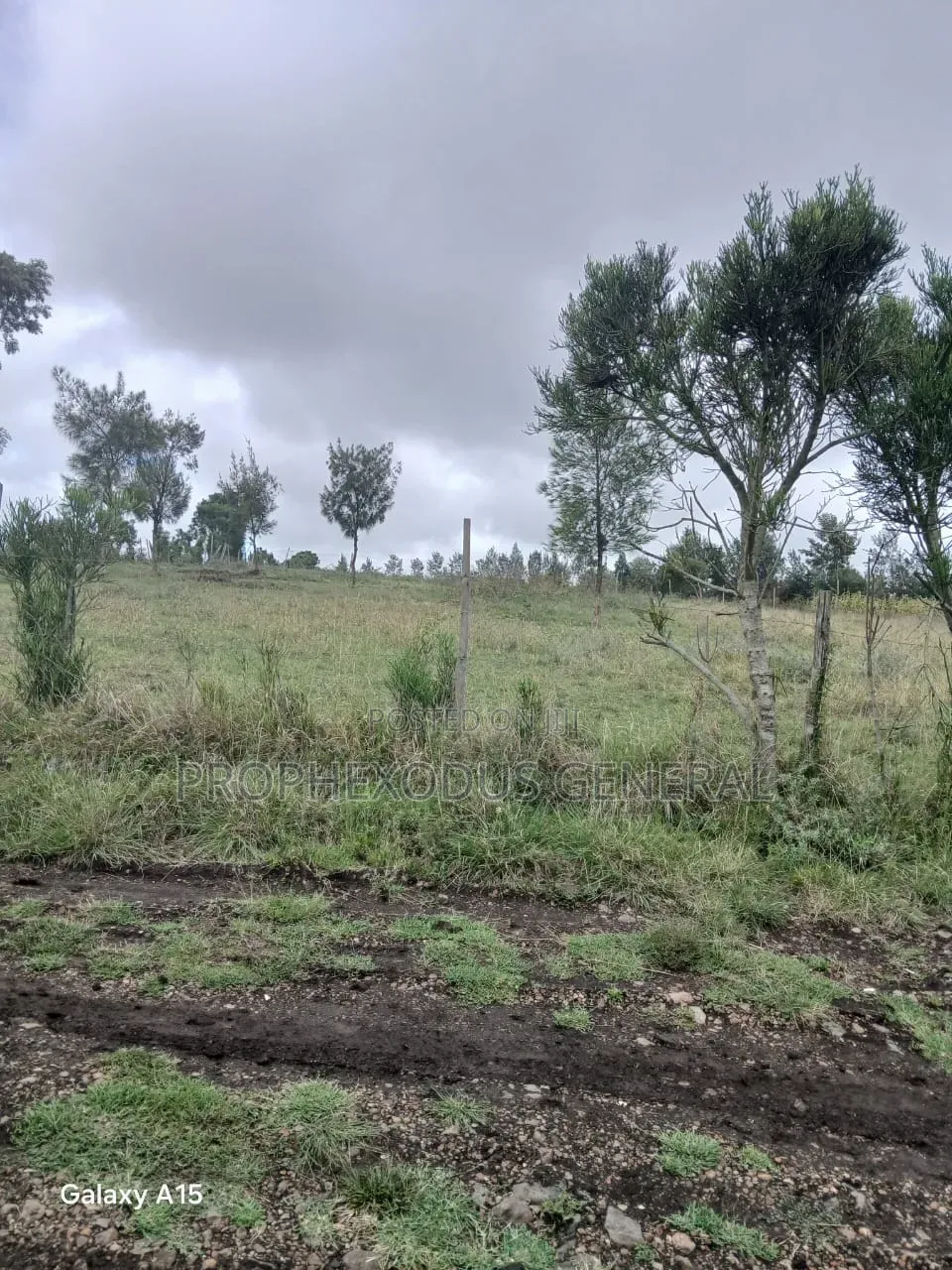 1/8 Residential Plots for Sale in NGONG Kimuka in Kibiku