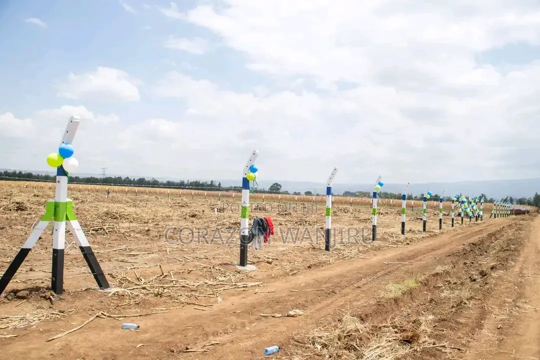 50*100plots in Sobea in Salgaa