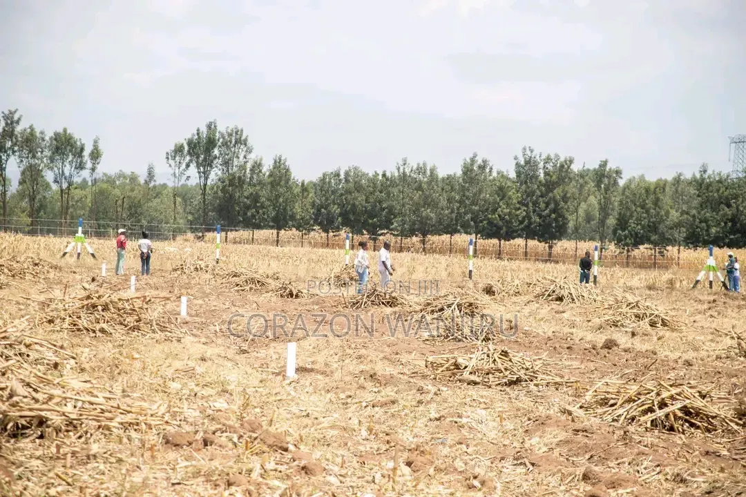 50*100plots in Sobea in Salgaa