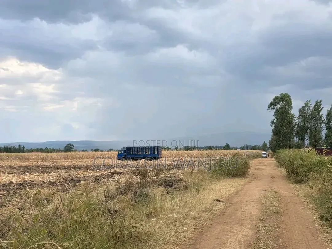 50*100plots in Sobea in Salgaa