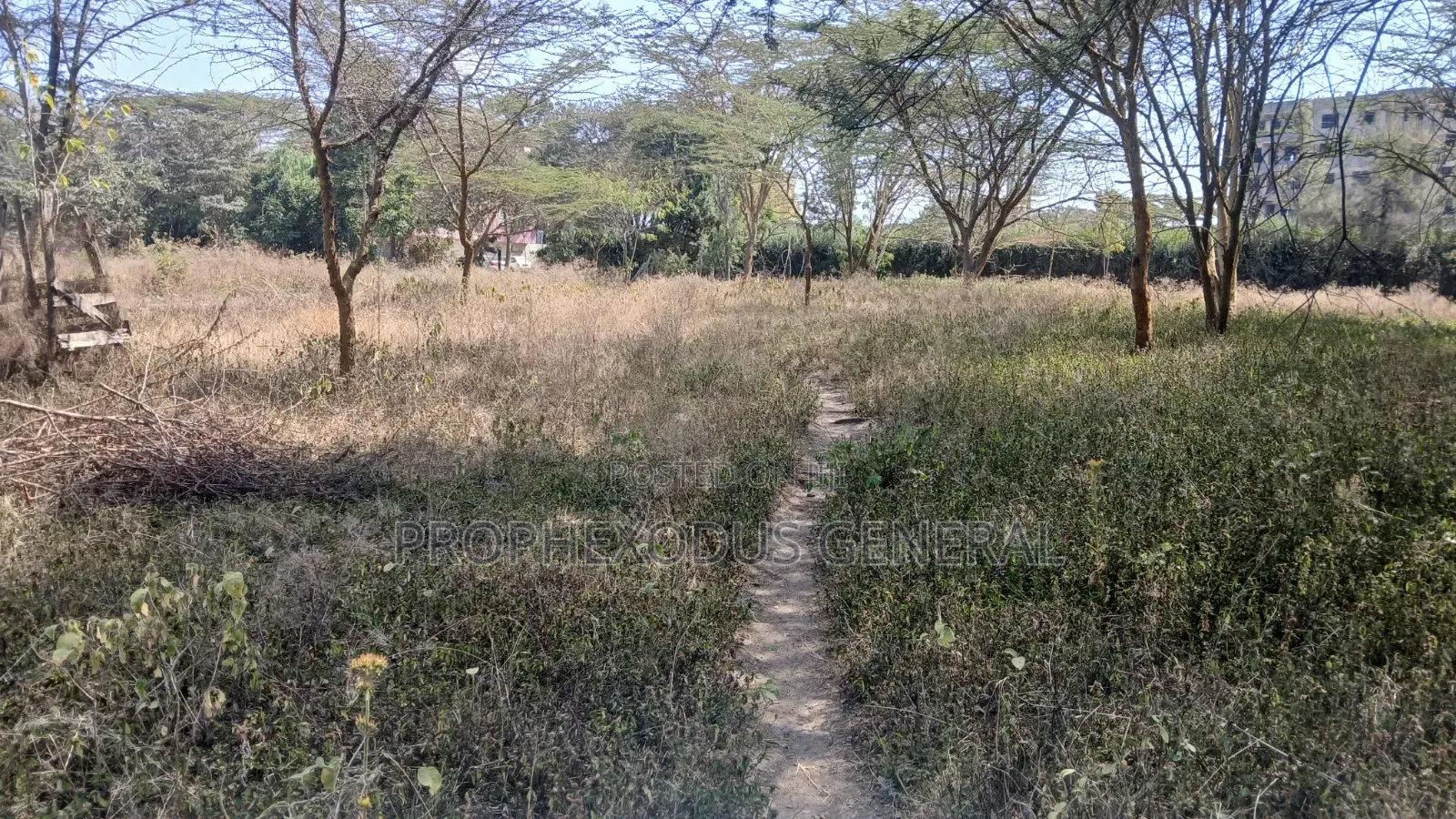 Quarter Commercial Plots for Sale in Ongata Rongai Town. in Maasai Lodge