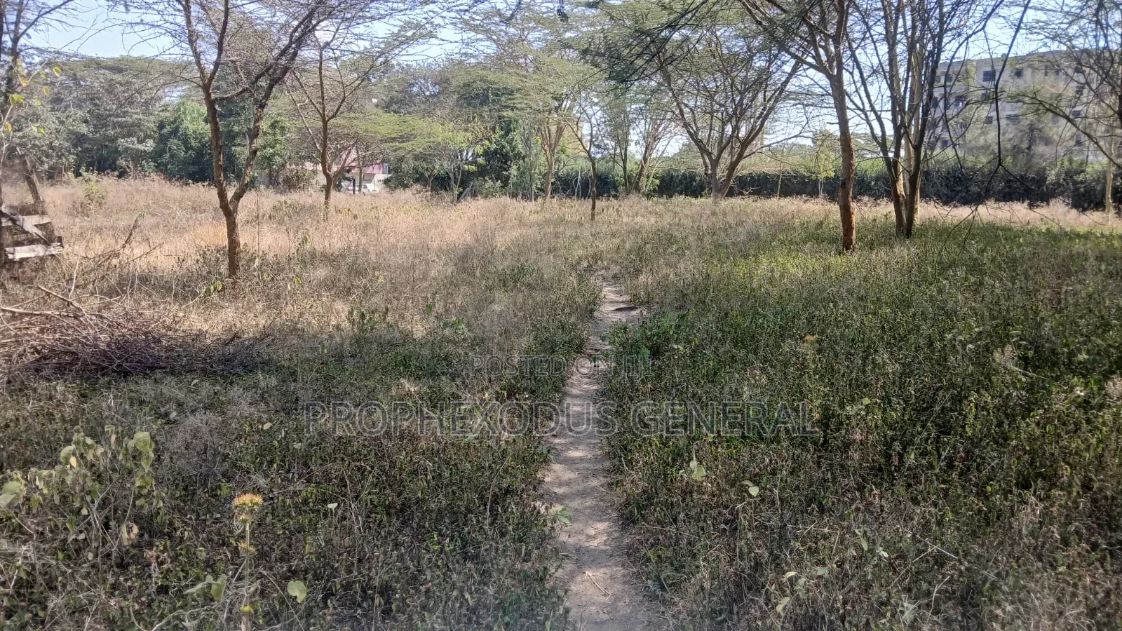 Quarter Commercial Plots for Sale in Ongata Rongai Town. in Maasai Lodge