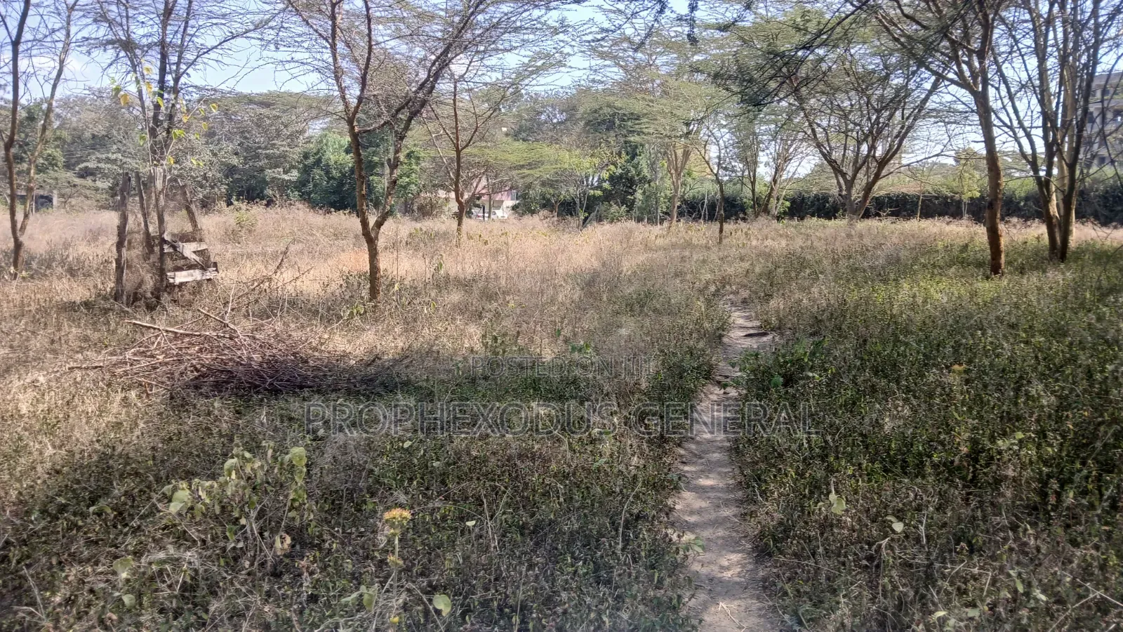 Quarter Commercial Plots for Sale in Ongata Rongai Town. in Maasai Lodge