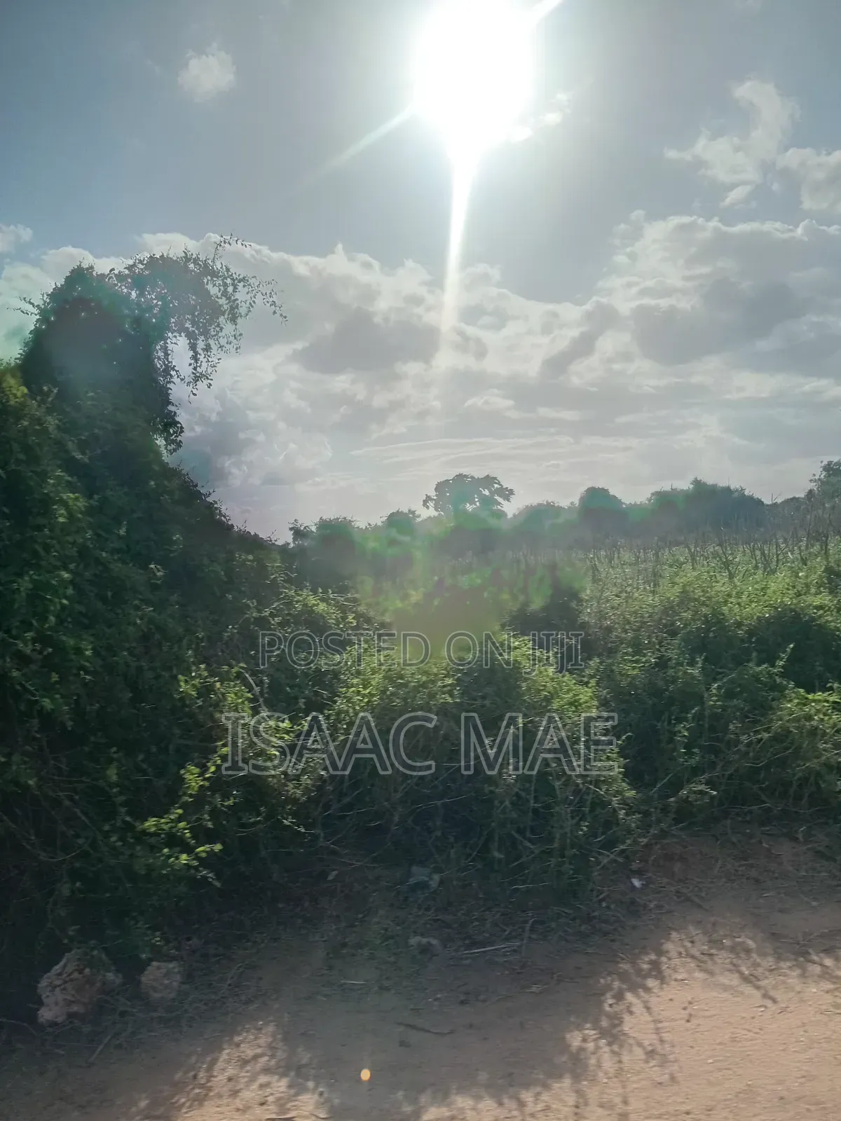 11 Acres for Sale at Malindi Baolala 250k Per Acre in Jilore