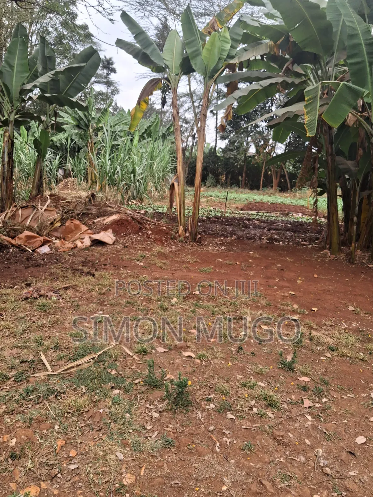 Kiambu Road Prime Fully Serviced 1/2ac at Kivulini Estate Ready Title in Kiambu CBD