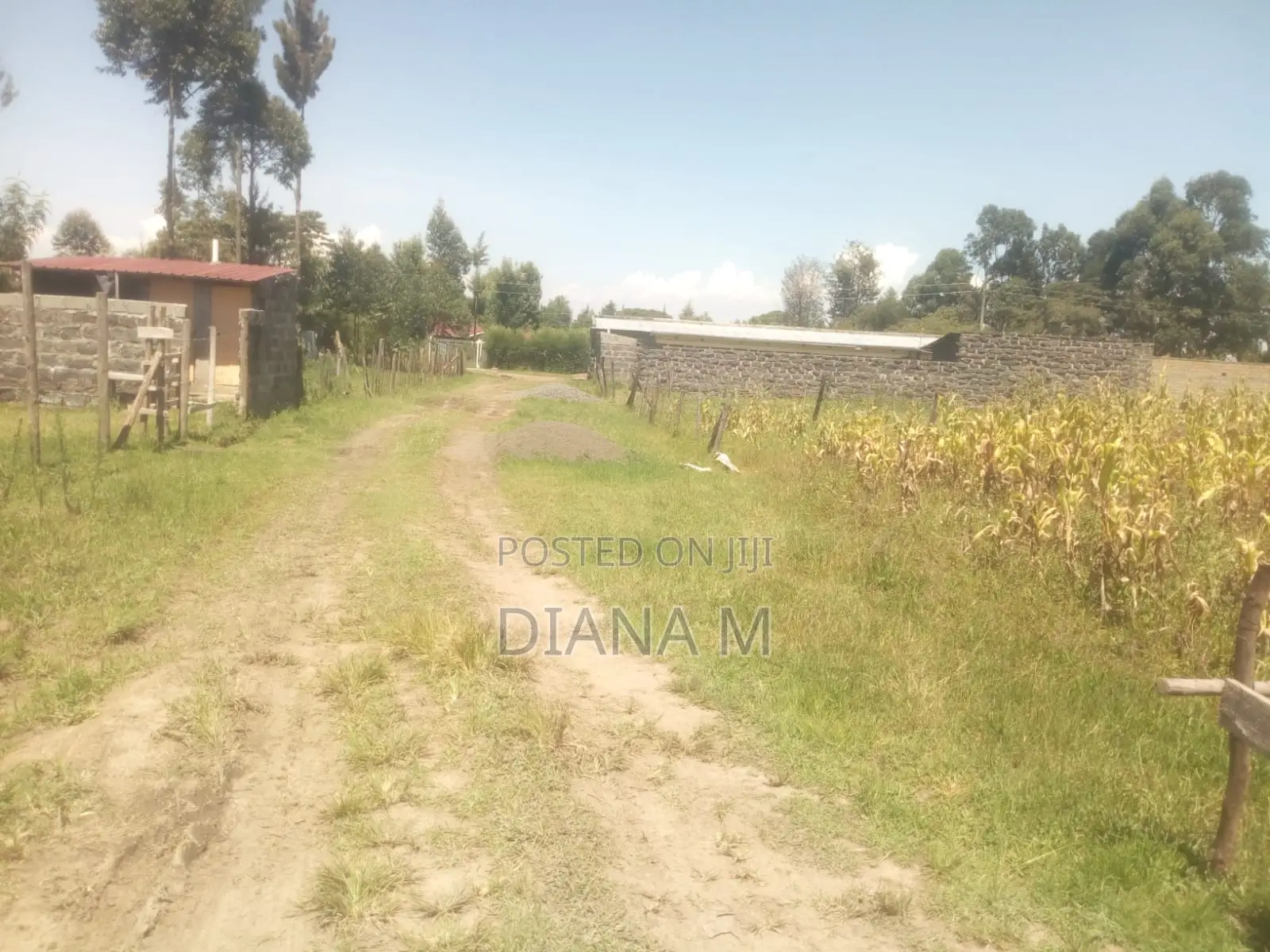 50*100 for Sale in Lanet Kariminu in Nyonjoro