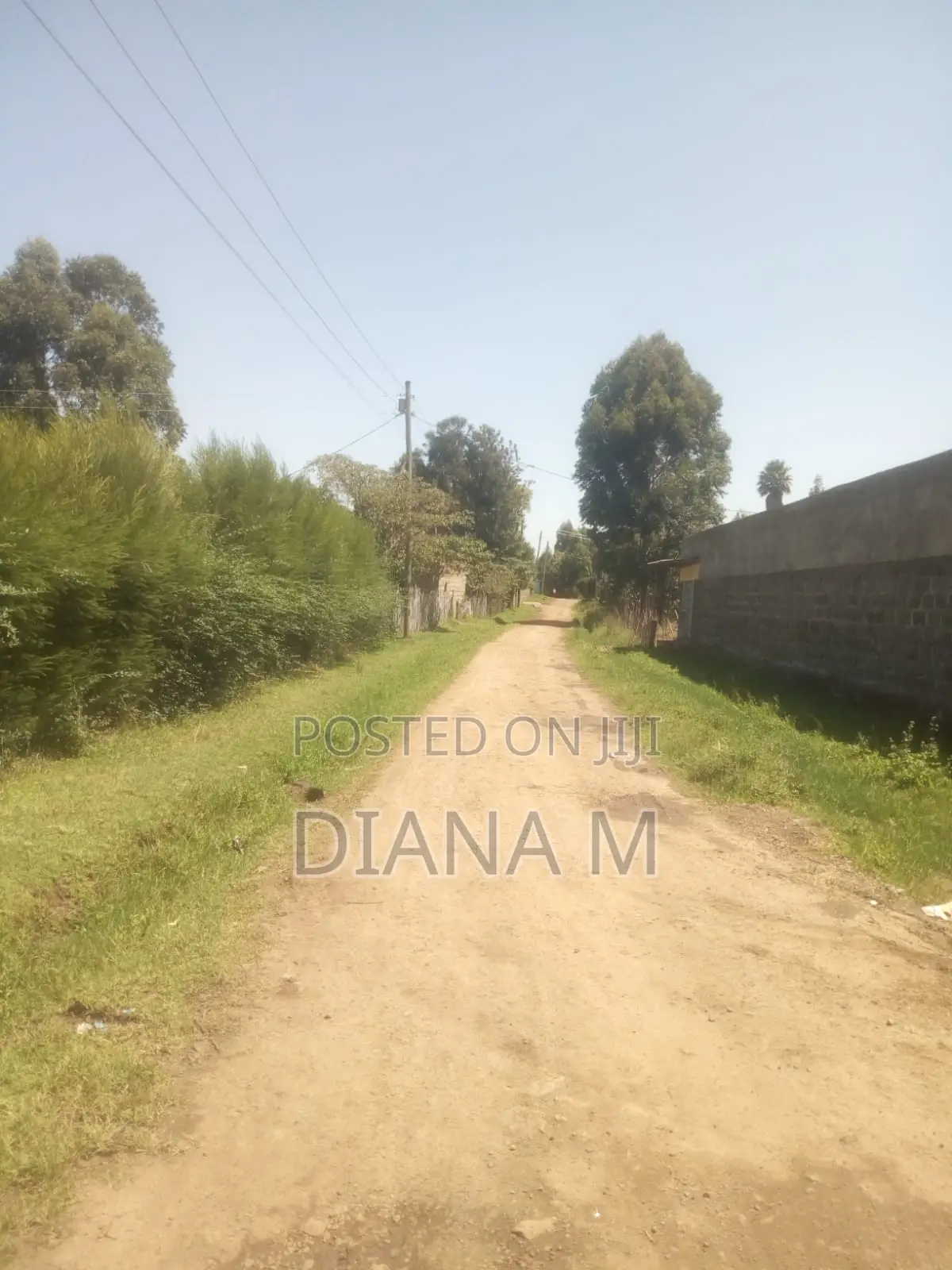 50*100 for Sale in Lanet Kariminu in Nyonjoro
