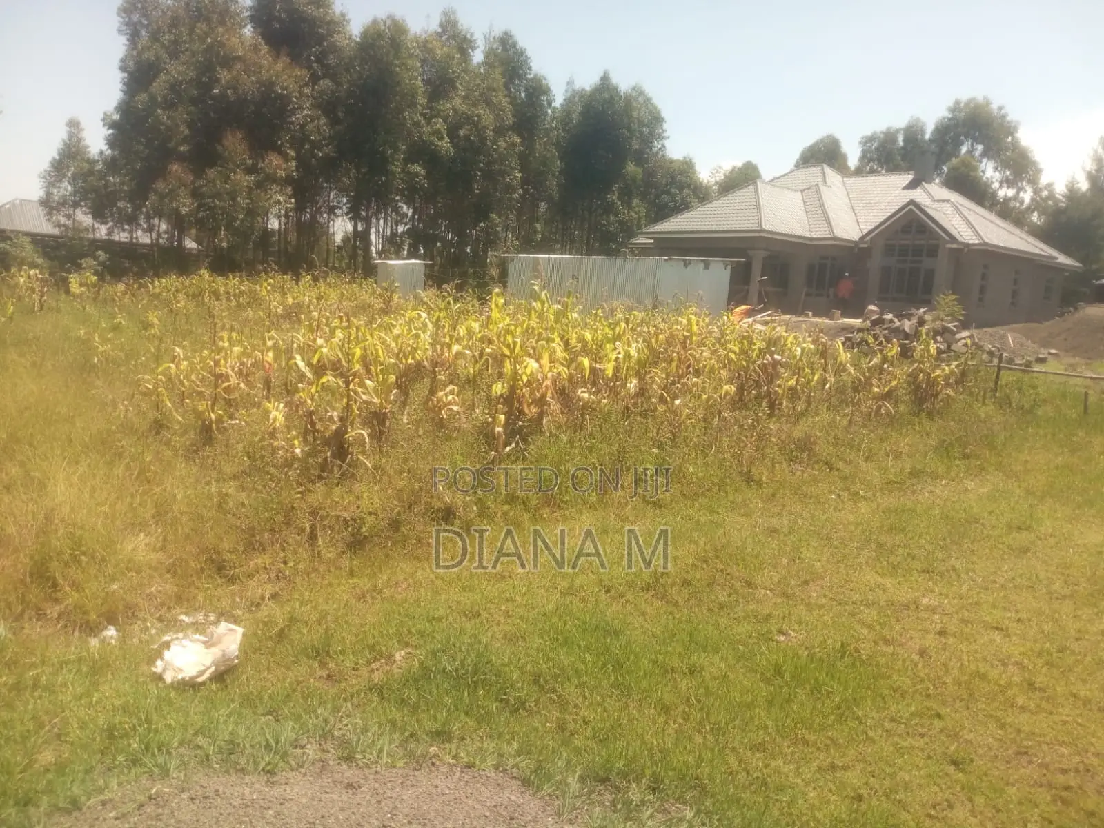 50*100 for Sale in Lanet Kariminu in Nyonjoro