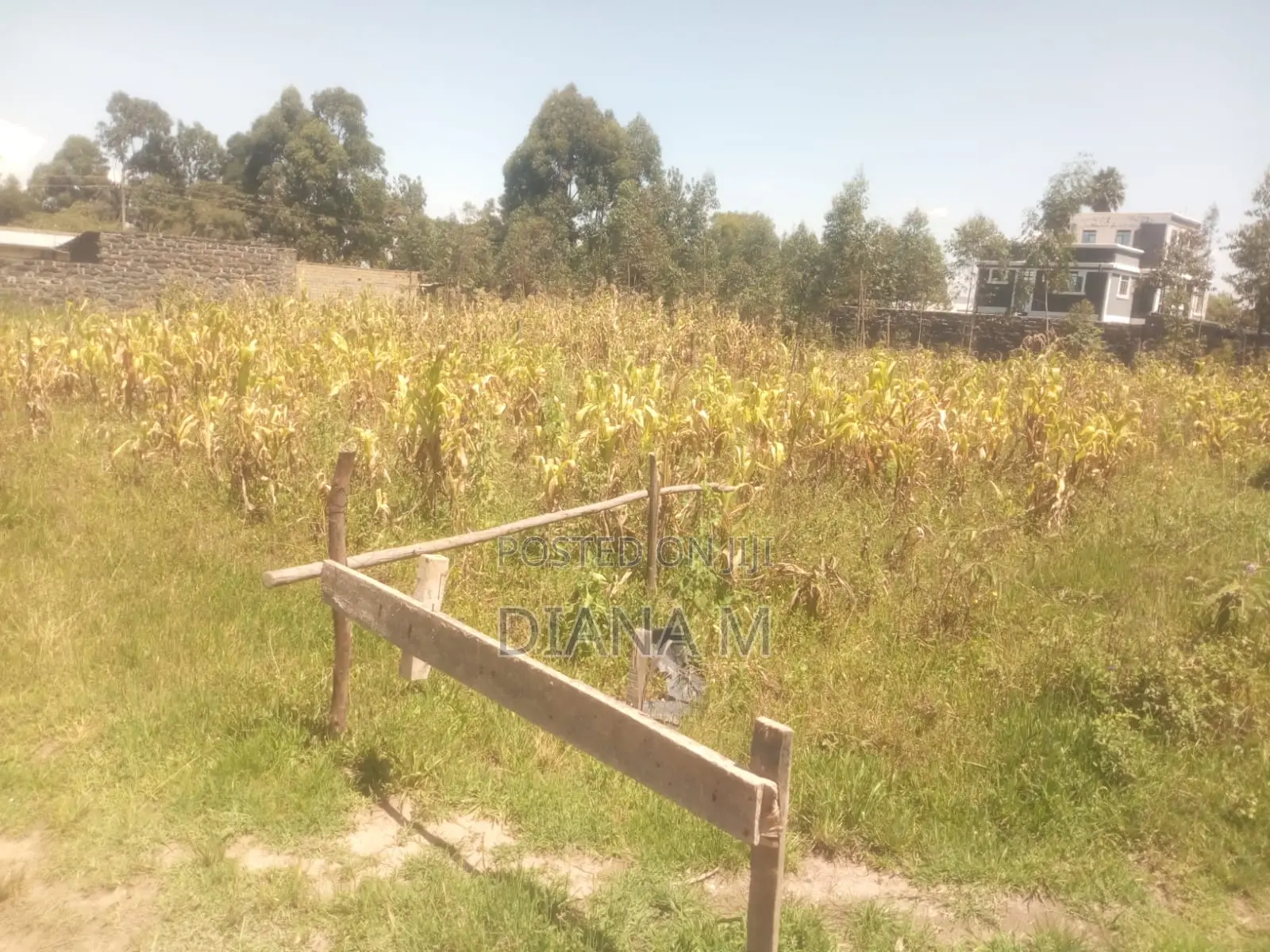 50*100 for Sale in Lanet Kariminu in Nyonjoro