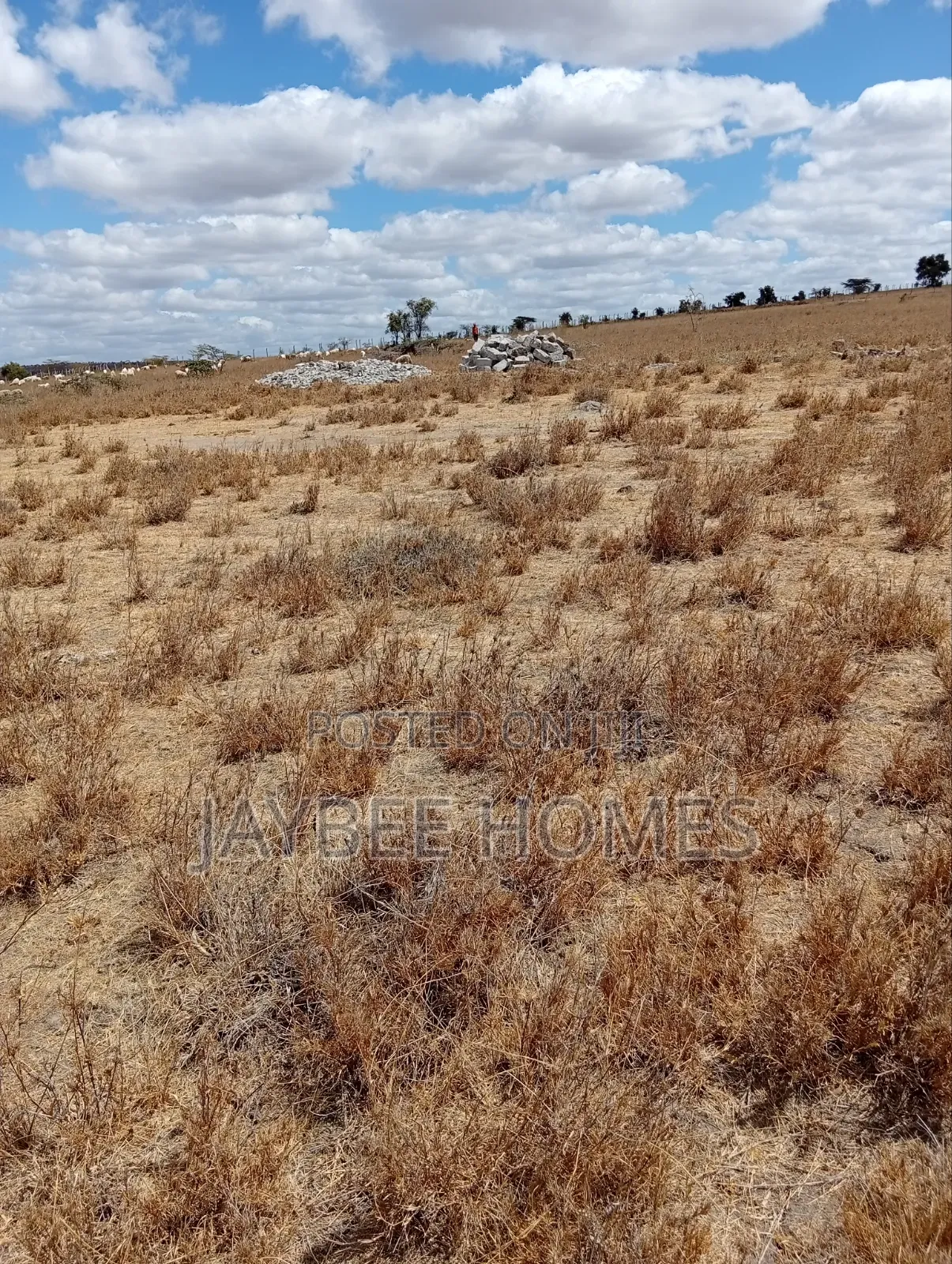 Isinya Prime Affordable Plots for Sale. in Isinya