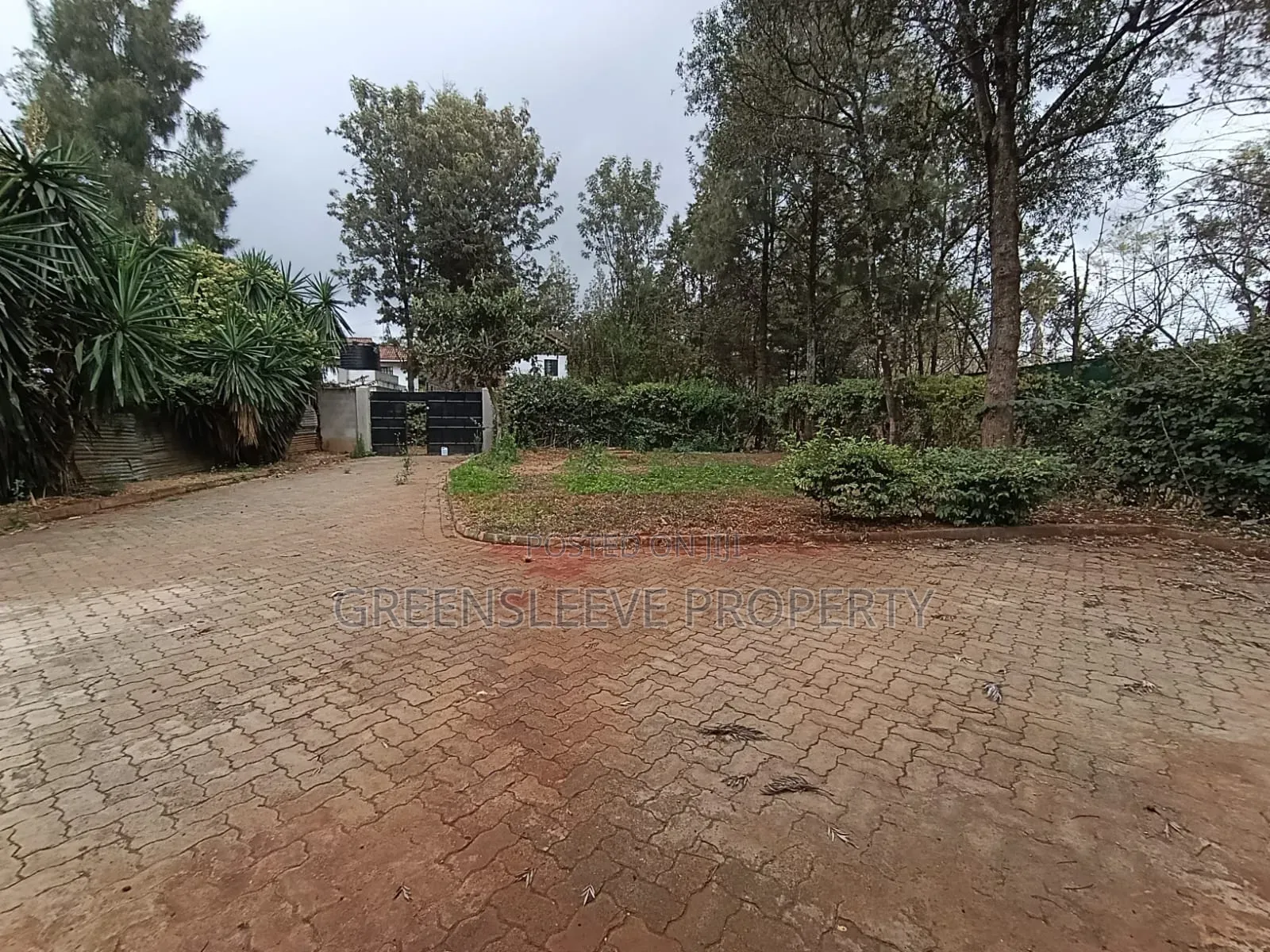 2bdrm House in Karen for rent in Karen C