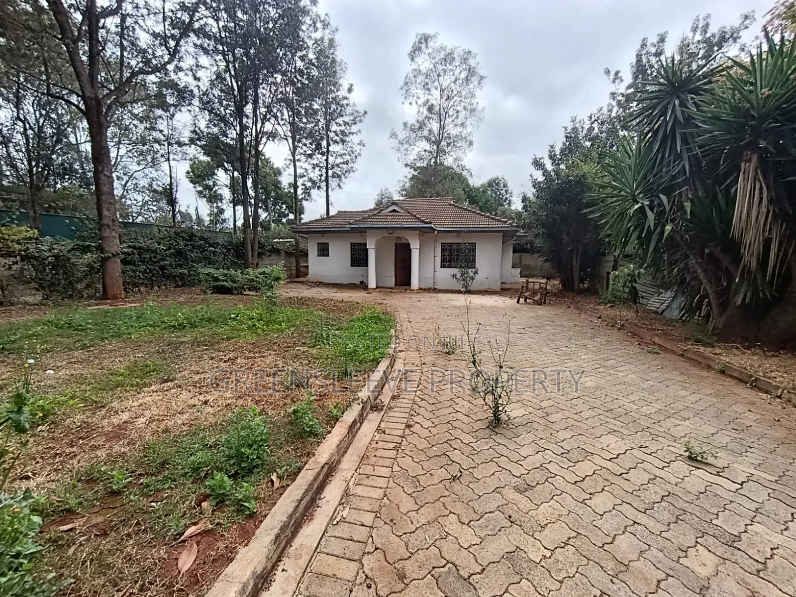 2bdrm House in Karen for rent in Karen C