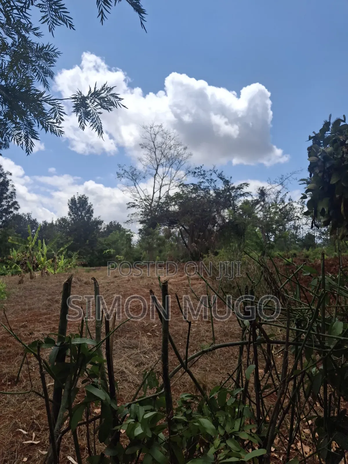 Sagana Prime 5 Acres With a River Fronting in Kerugoya