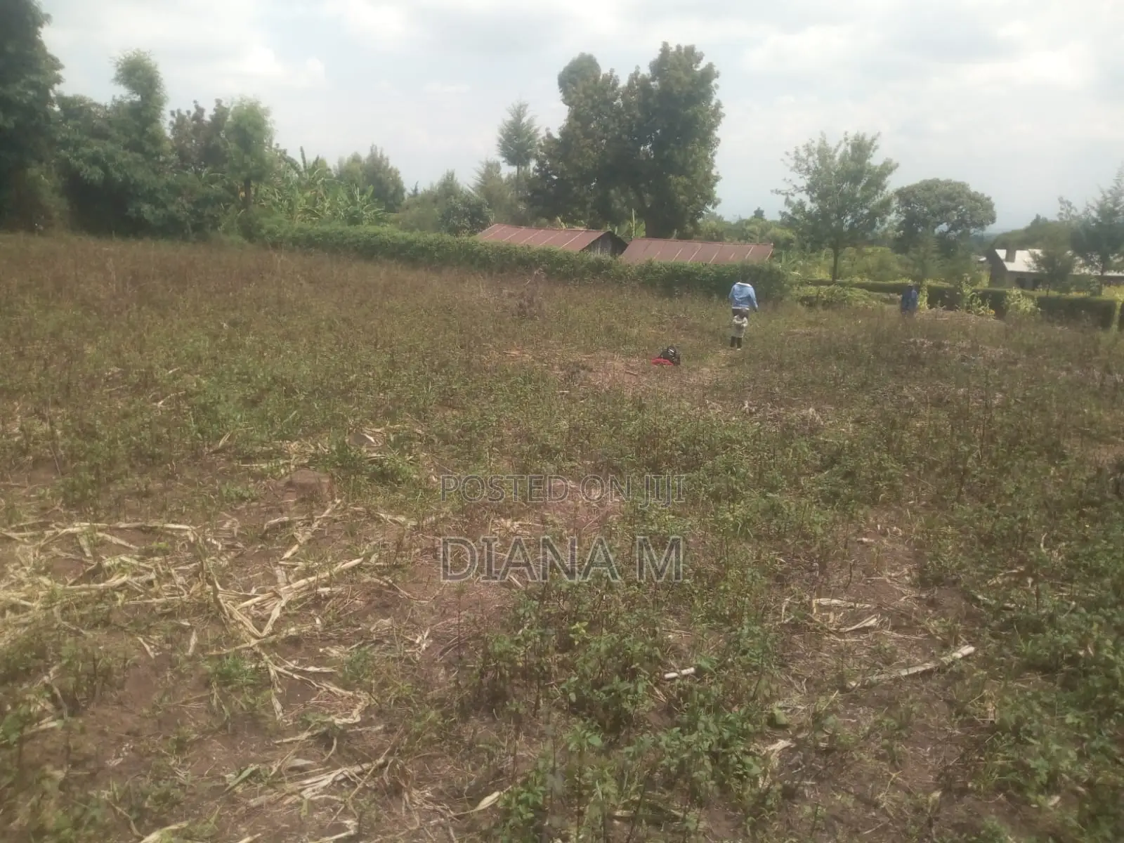 50*100 Plot on Sale in Mariguini, Nakuru in Nyonjoro