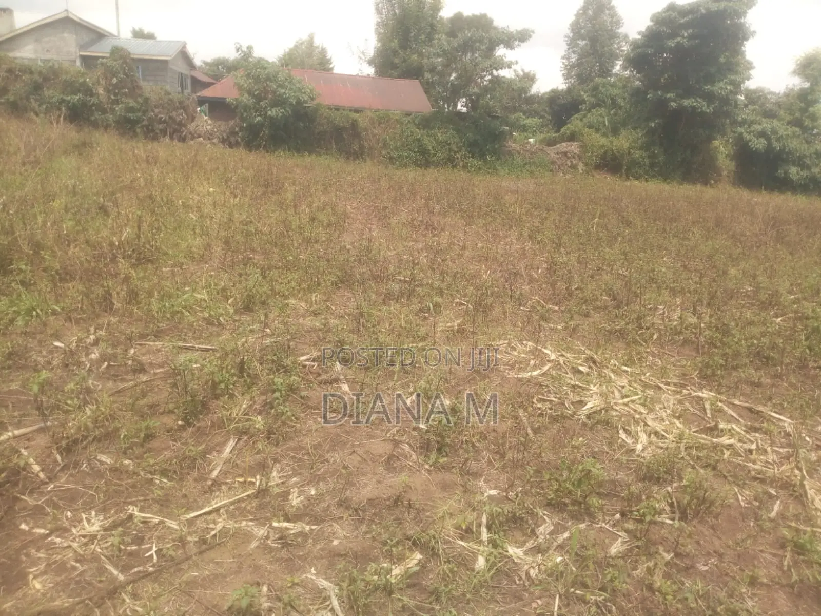 50*100 Plot on Sale in Mariguini, Nakuru in Nyonjoro