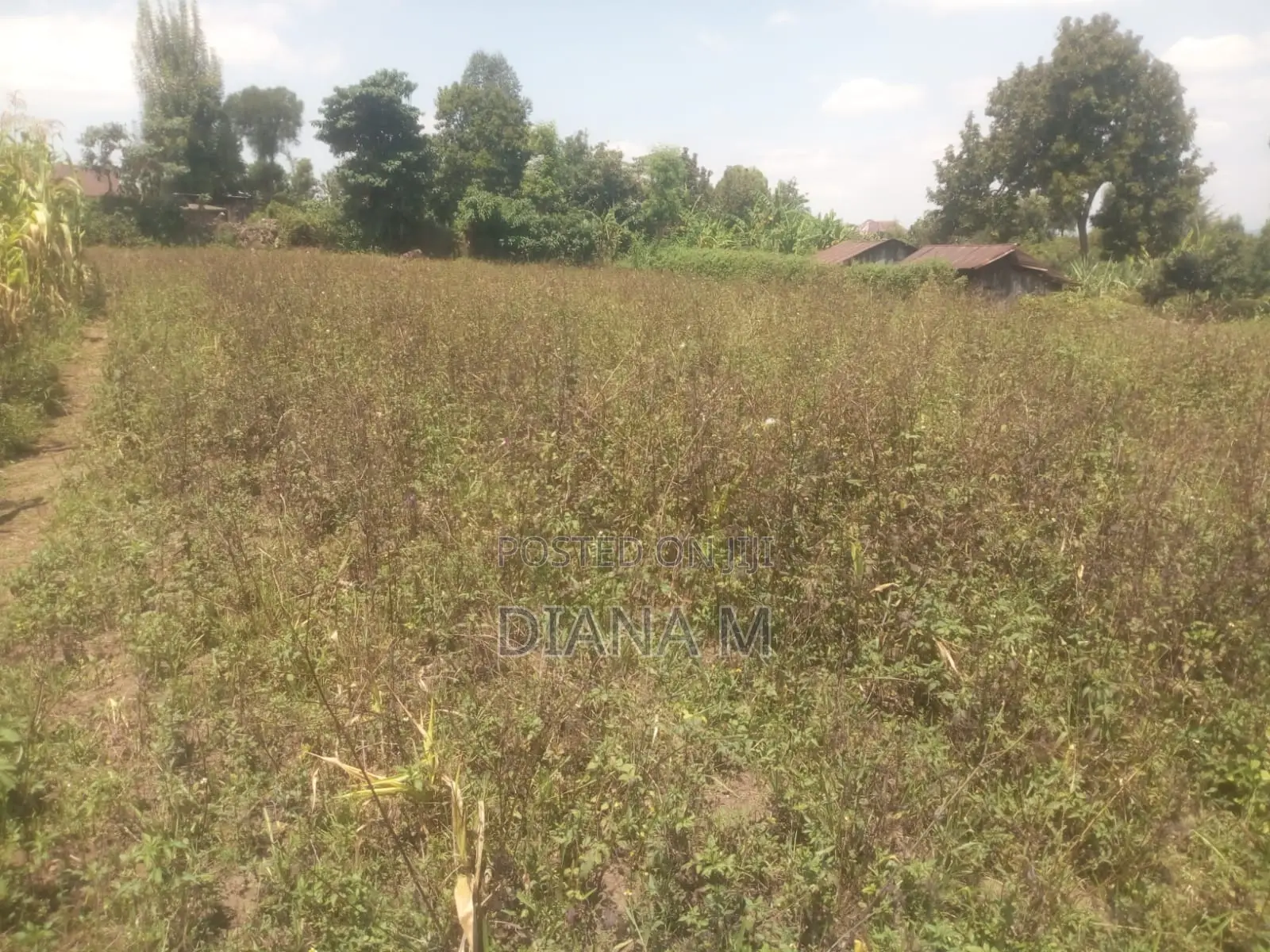 50*100 Plot on Sale in Mariguini, Nakuru in Nyonjoro