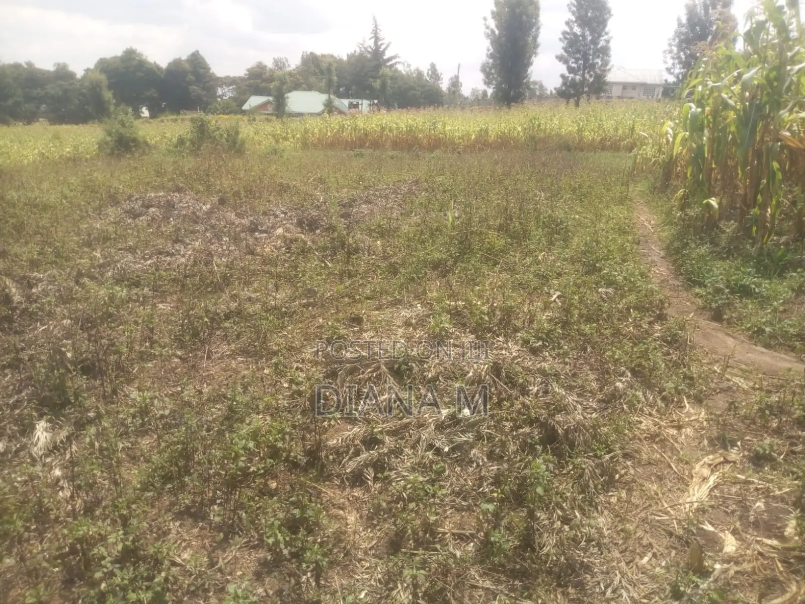 50*100 Plot on Sale in Mariguini, Nakuru in Nyonjoro
