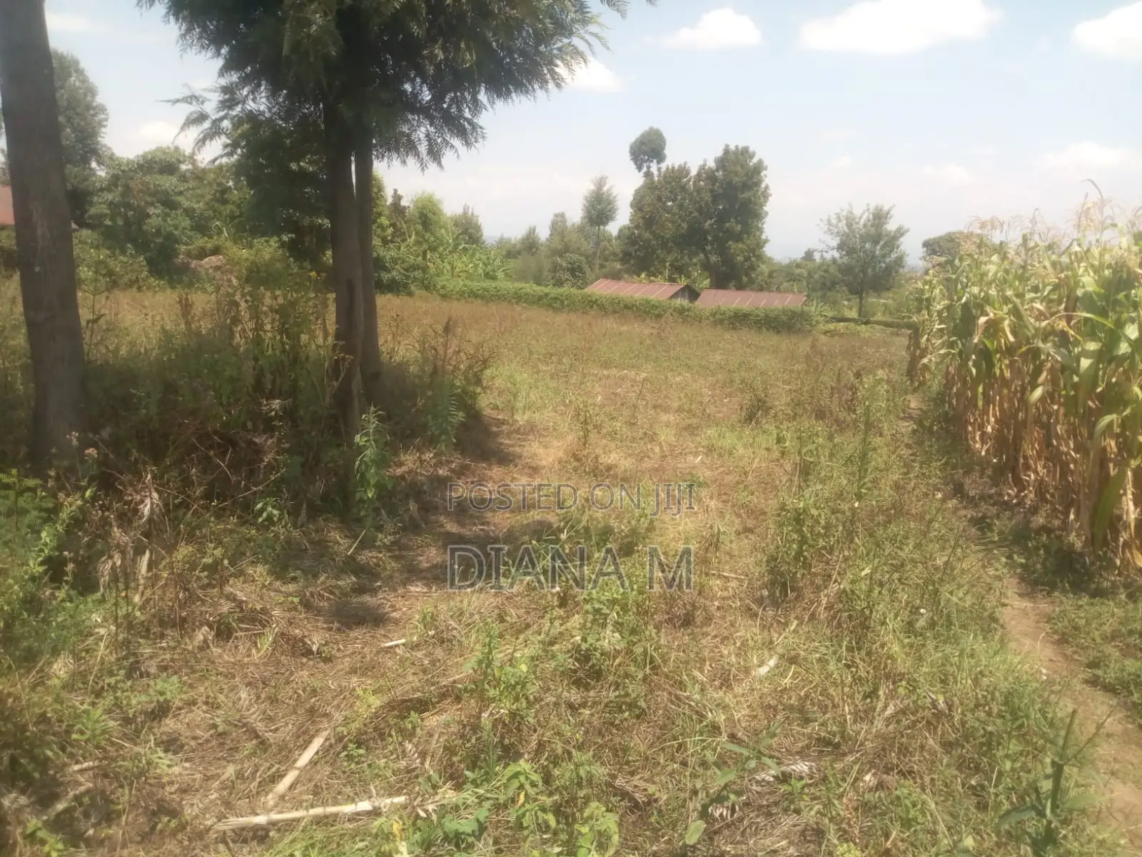 50*100 Plot on Sale in Mariguini, Nakuru in Nyonjoro
