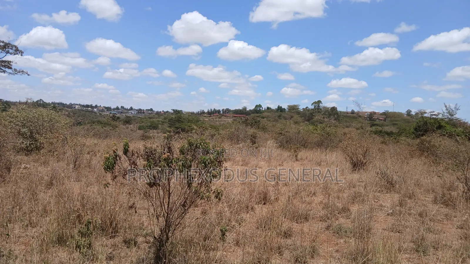 24 Acres Block for Sale Ln O/Rongai Maasi Lodge in Maasai Lodge
