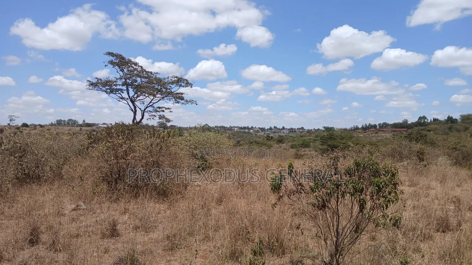 24 Acres Block for Sale Ln O/Rongai Maasi Lodge in Maasai Lodge