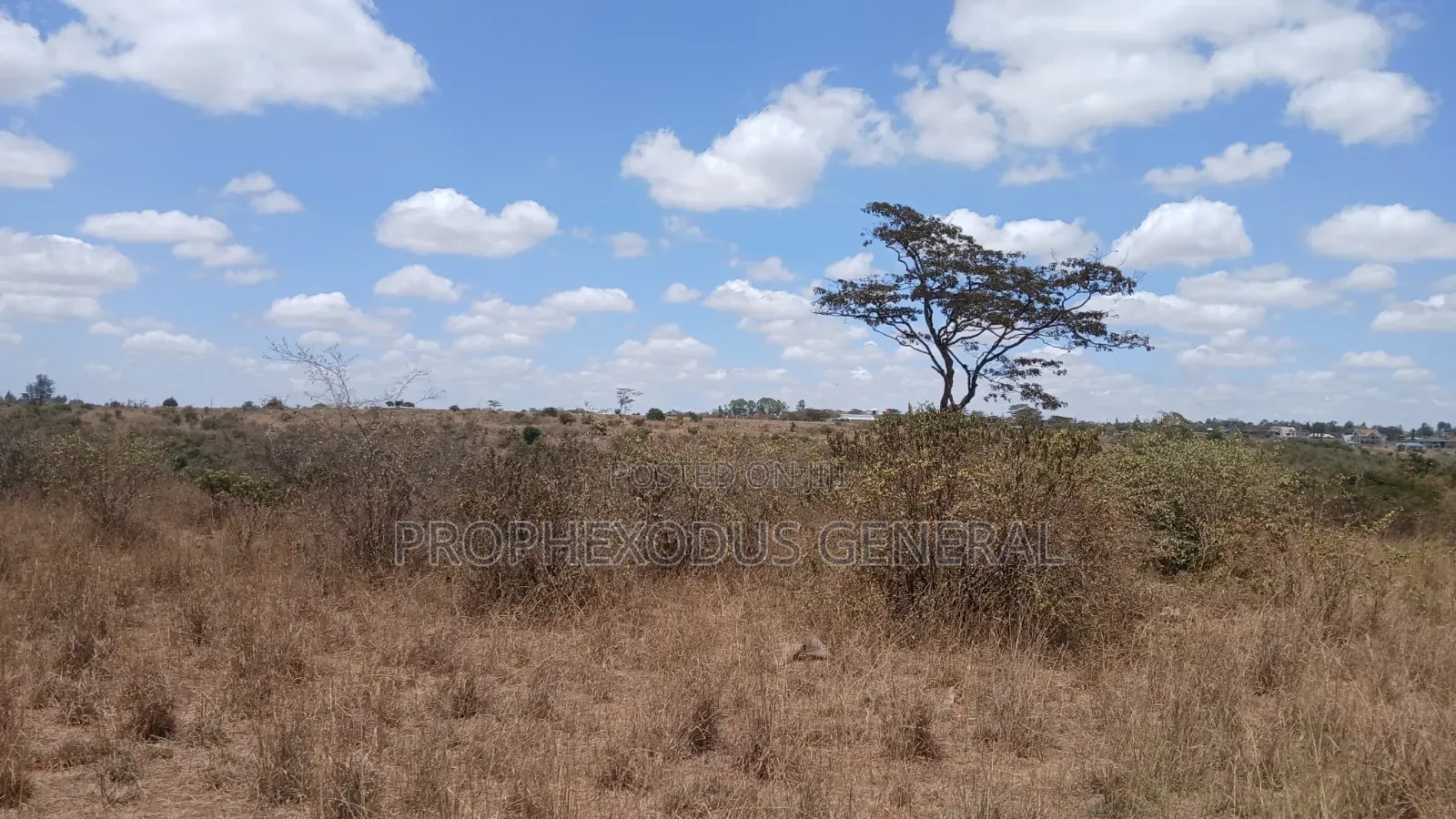 24 Acres Block for Sale Ln O/Rongai Maasi Lodge in Maasai Lodge