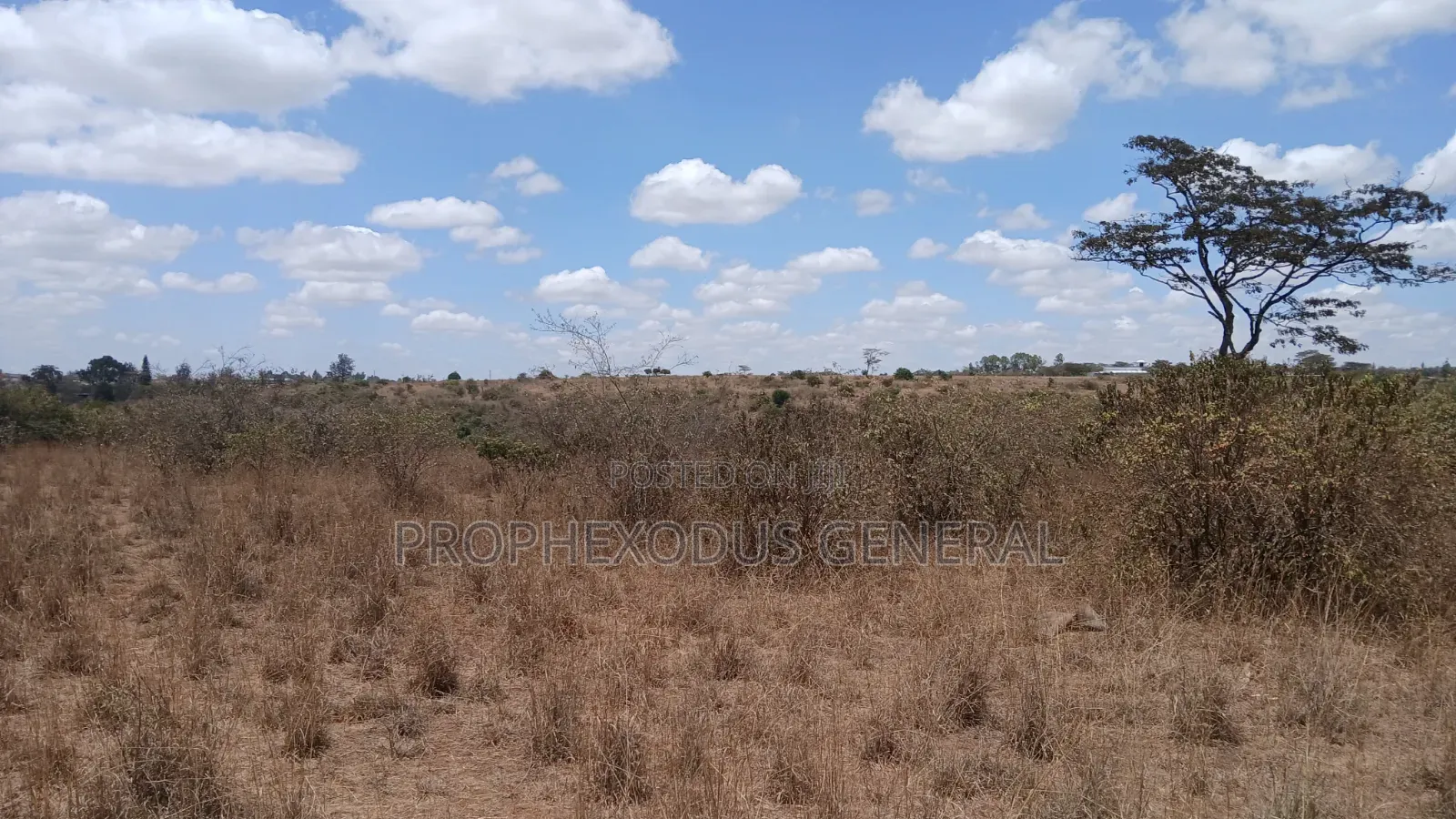 24 Acres Block for Sale Ln O/Rongai Maasi Lodge in Maasai Lodge