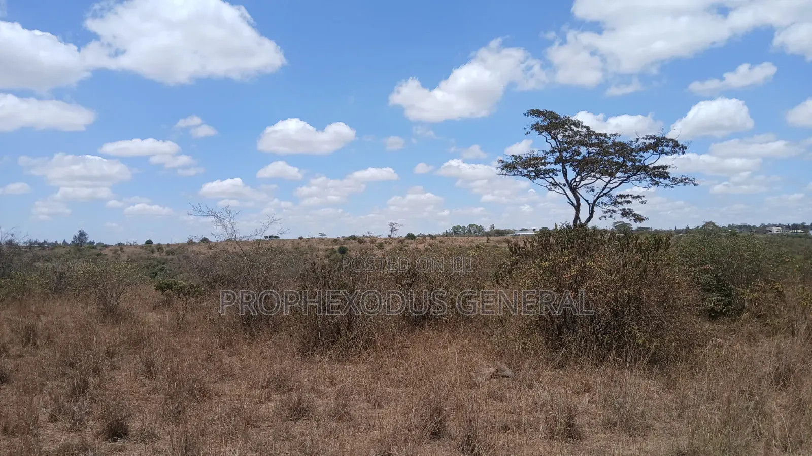 24 Acres Block for Sale Ln O/Rongai Maasi Lodge in Maasai Lodge