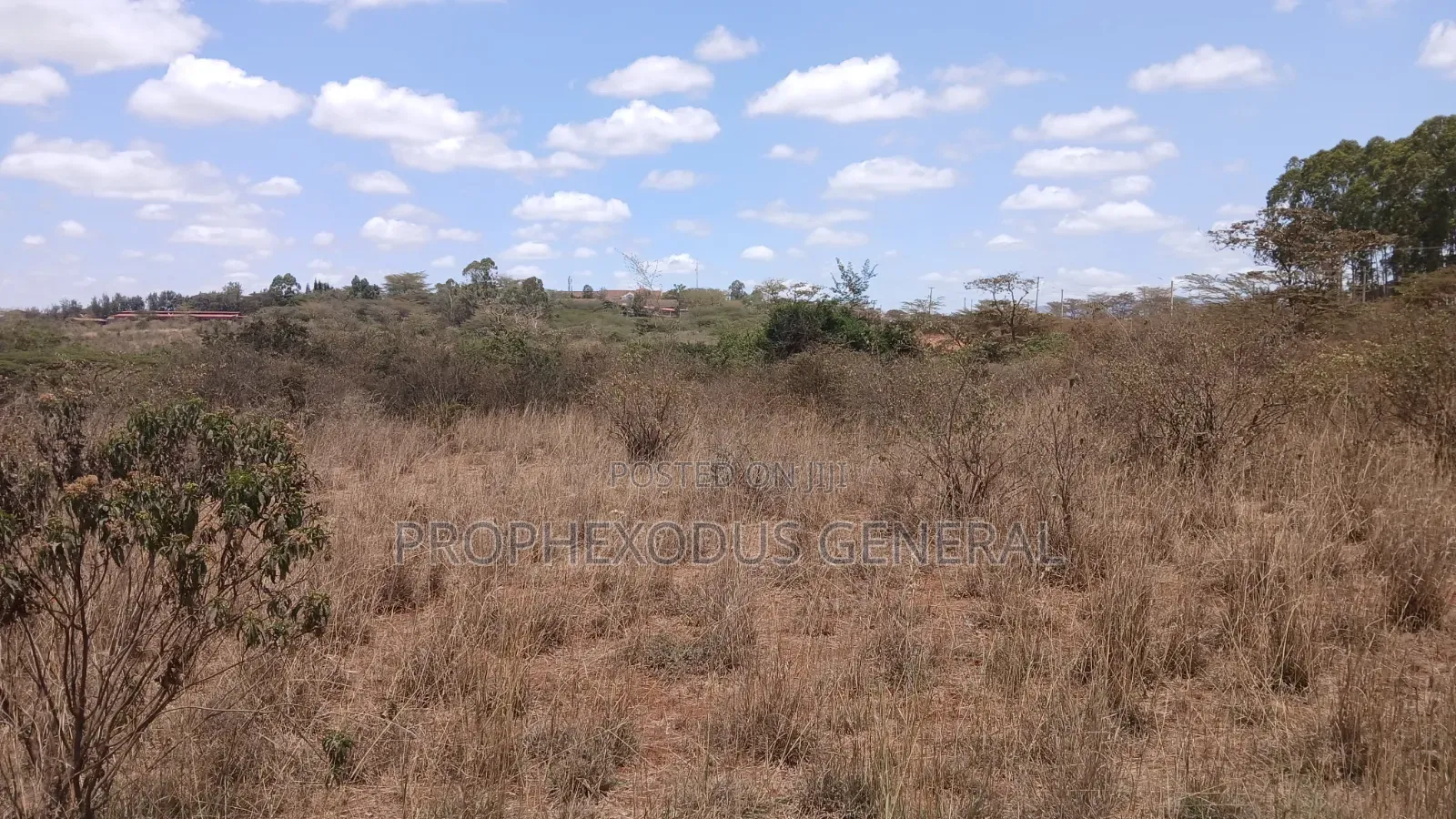 12 Acres for Sale Ln Ongata Rongai Maasi Lodge. in Maasai Lodge
