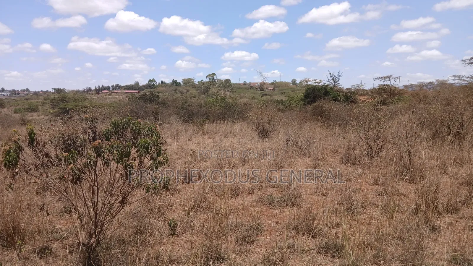 12 Acres for Sale Ln Ongata Rongai Maasi Lodge. in Maasai Lodge