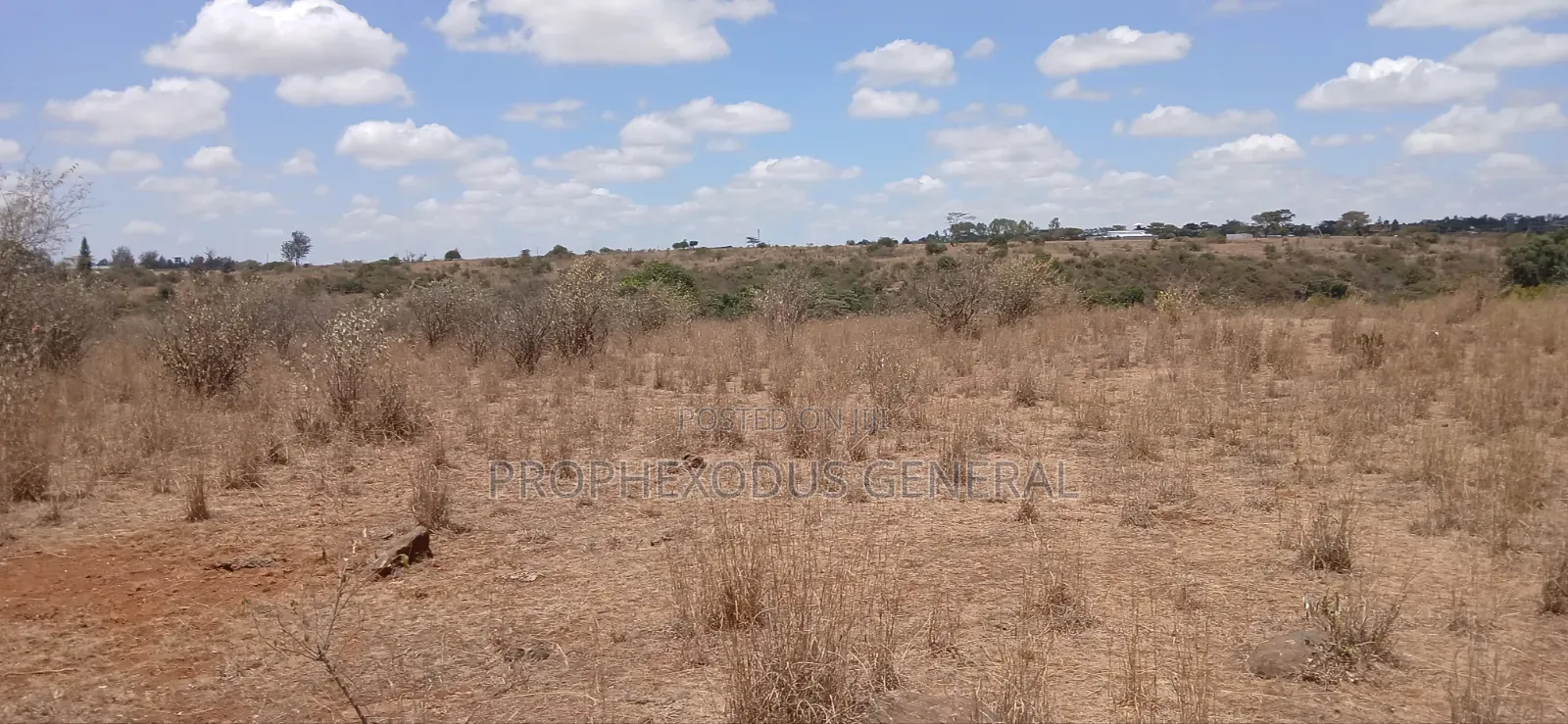 5 Acres Block for Sale Ln O/Rongai Maasi Lodge. in Maasai Lodge