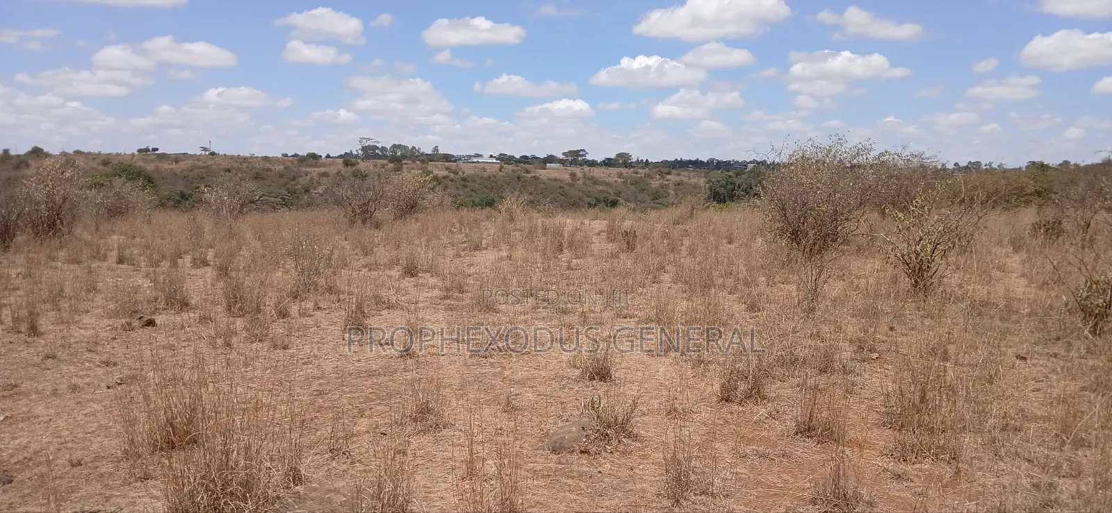 5 Acres Block for Sale Ln O/Rongai Maasi Lodge. in Maasai Lodge