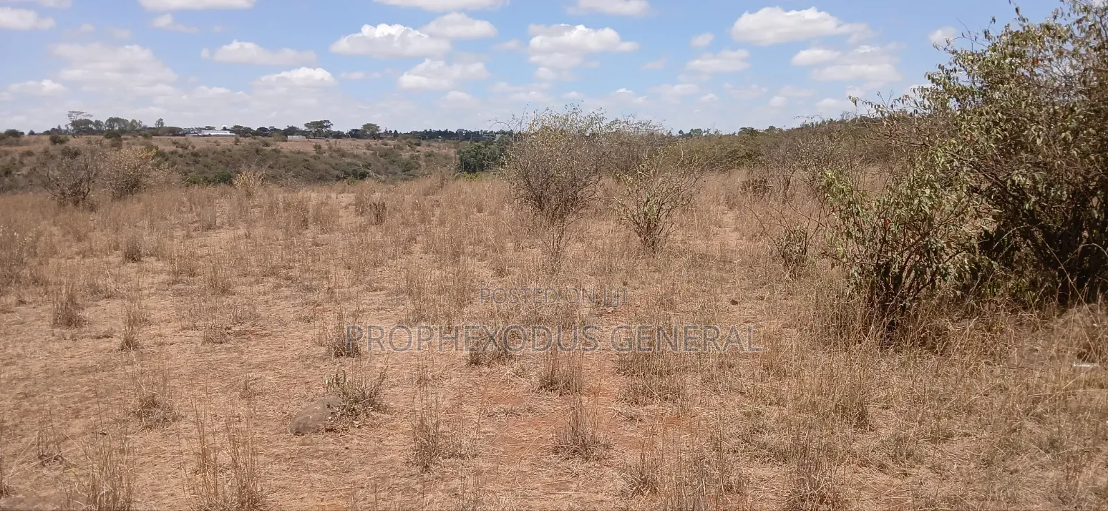 5 Acres Block for Sale Ln O/Rongai Maasi Lodge. in Maasai Lodge
