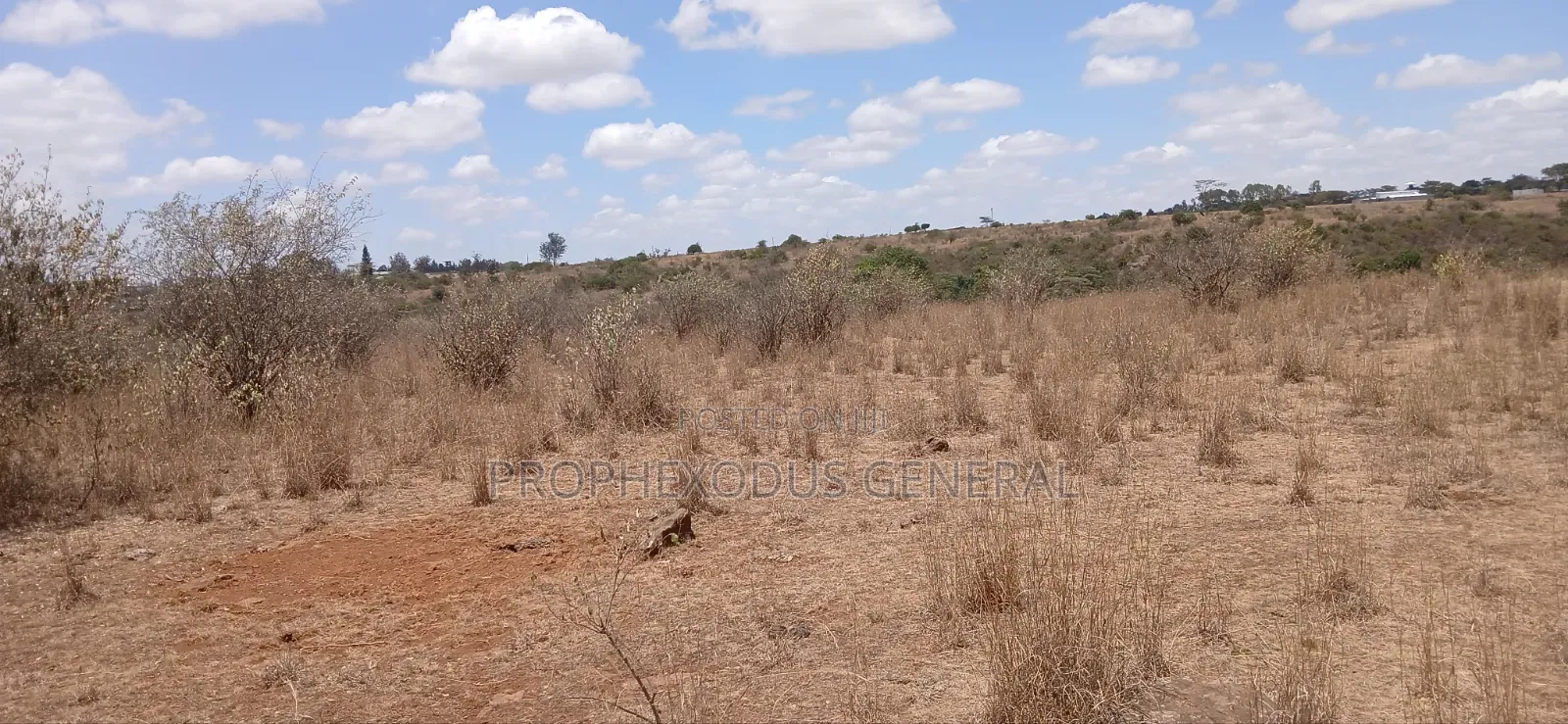 5 Acres Block for Sale Ln O/Rongai Maasi Lodge. in Maasai Lodge